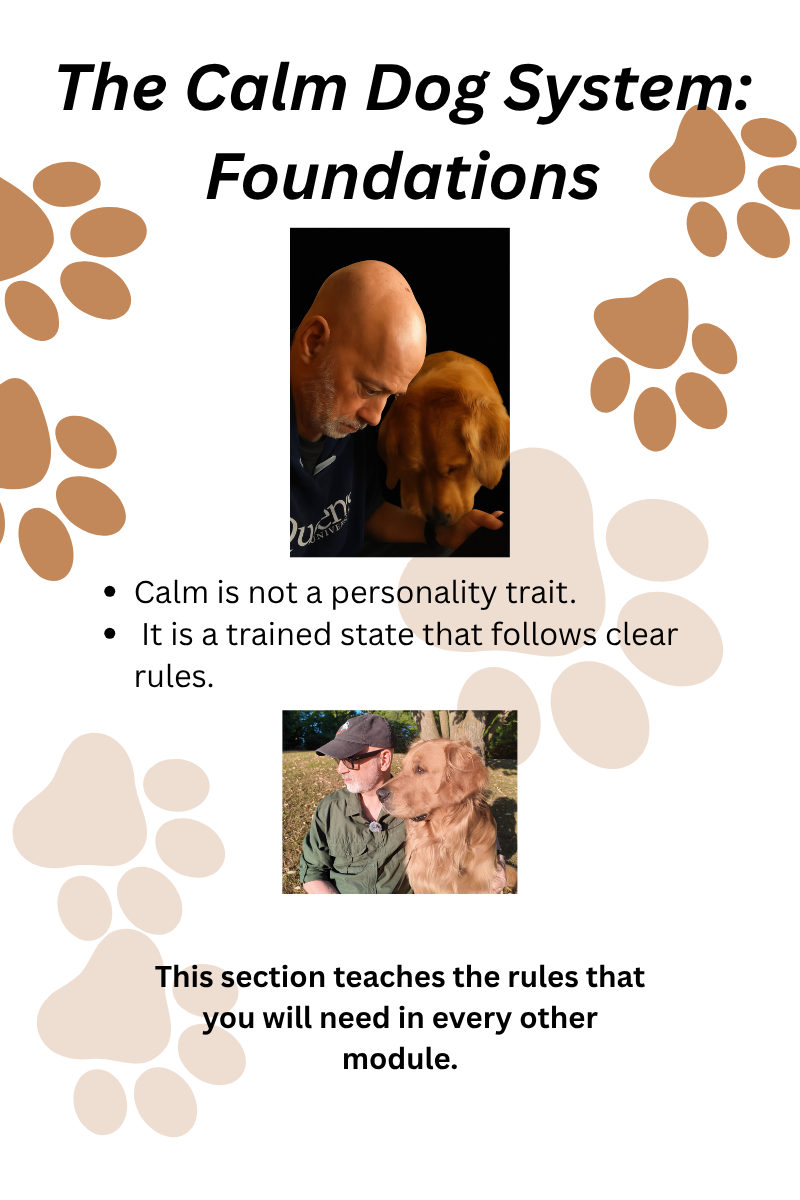 CALM DOG FOUNDATIONS