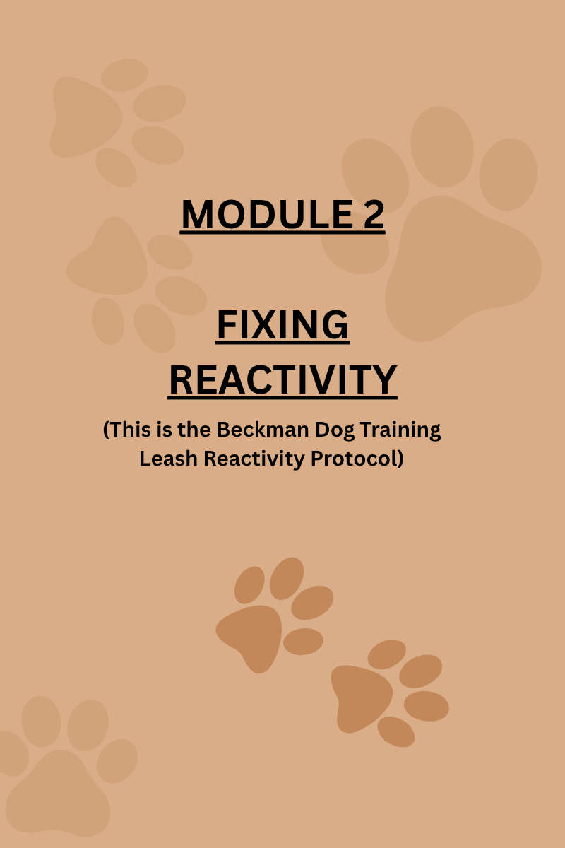 54 Reactivity.png