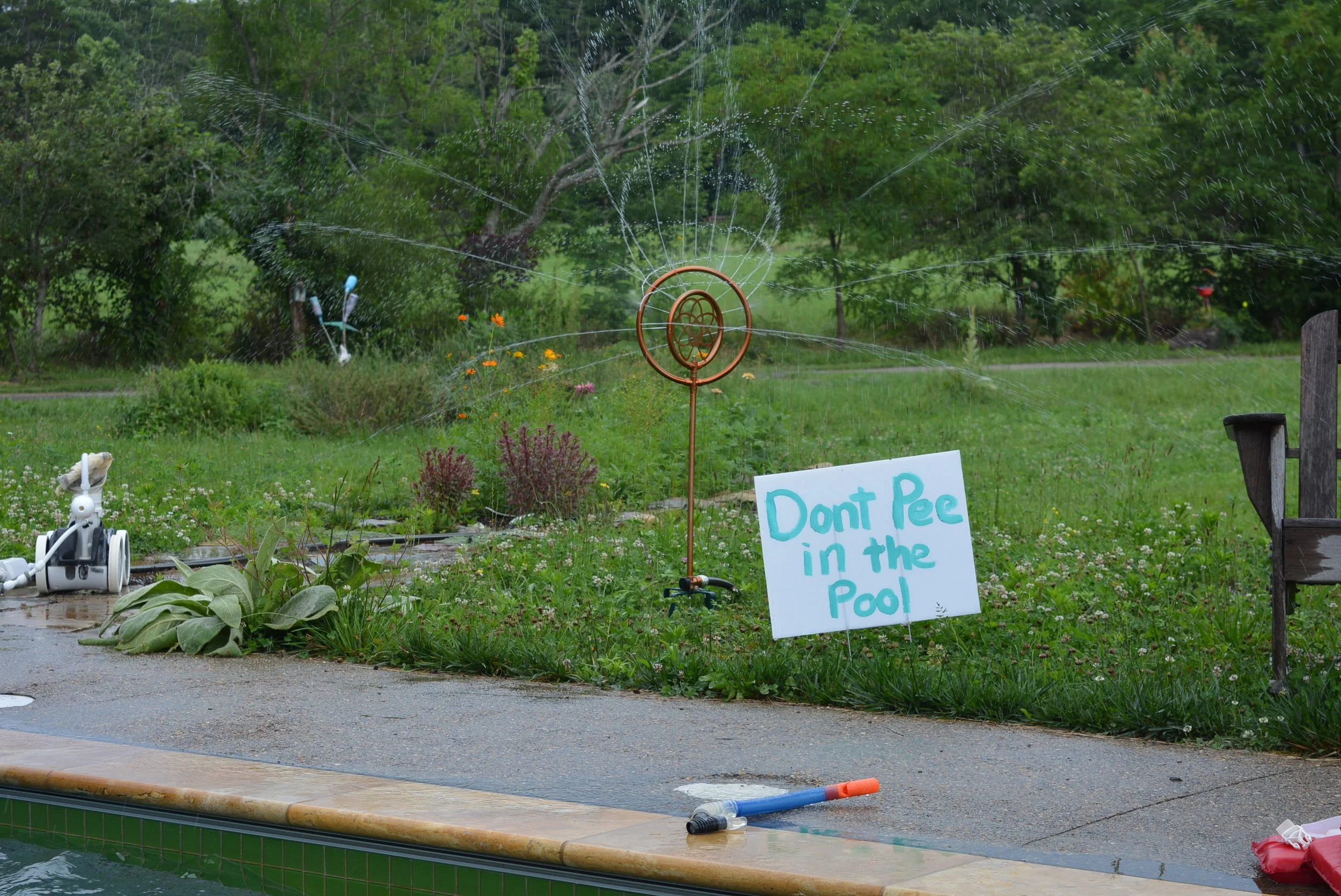 DSC_0366.JPG