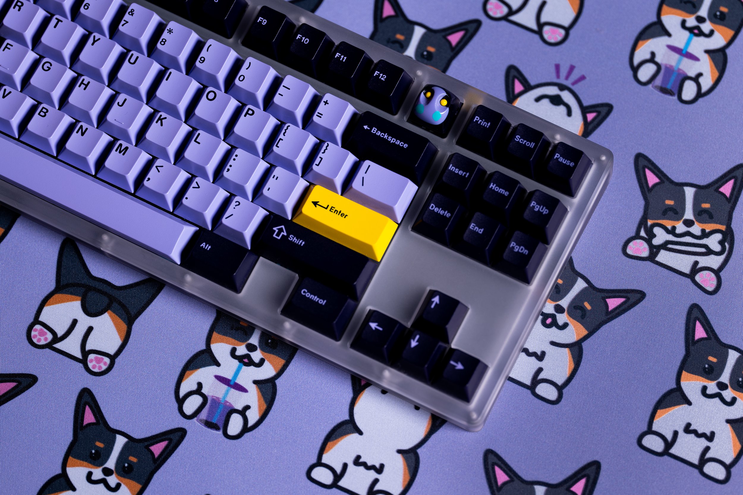 Tri Board.jpg