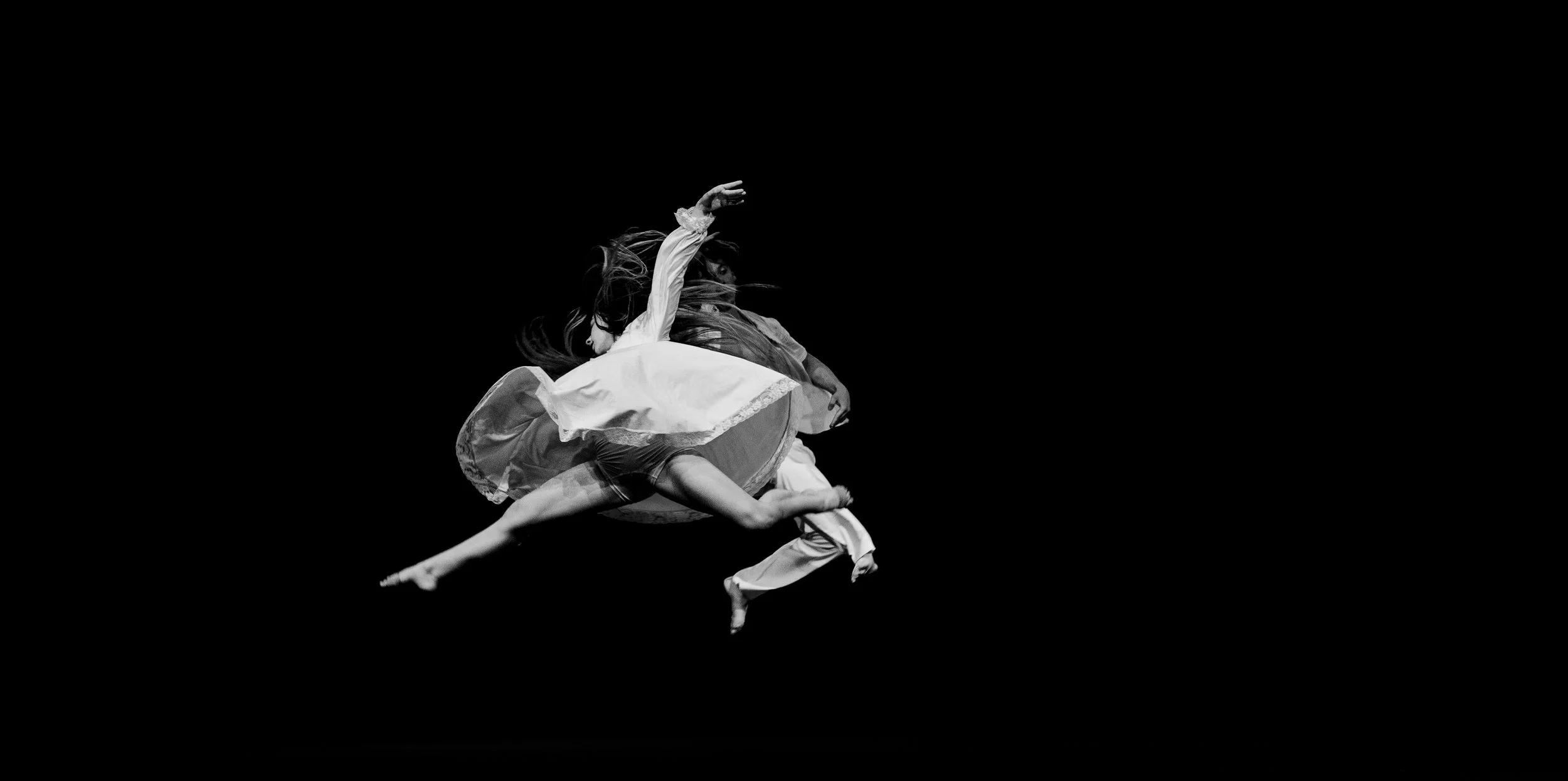 DANSE