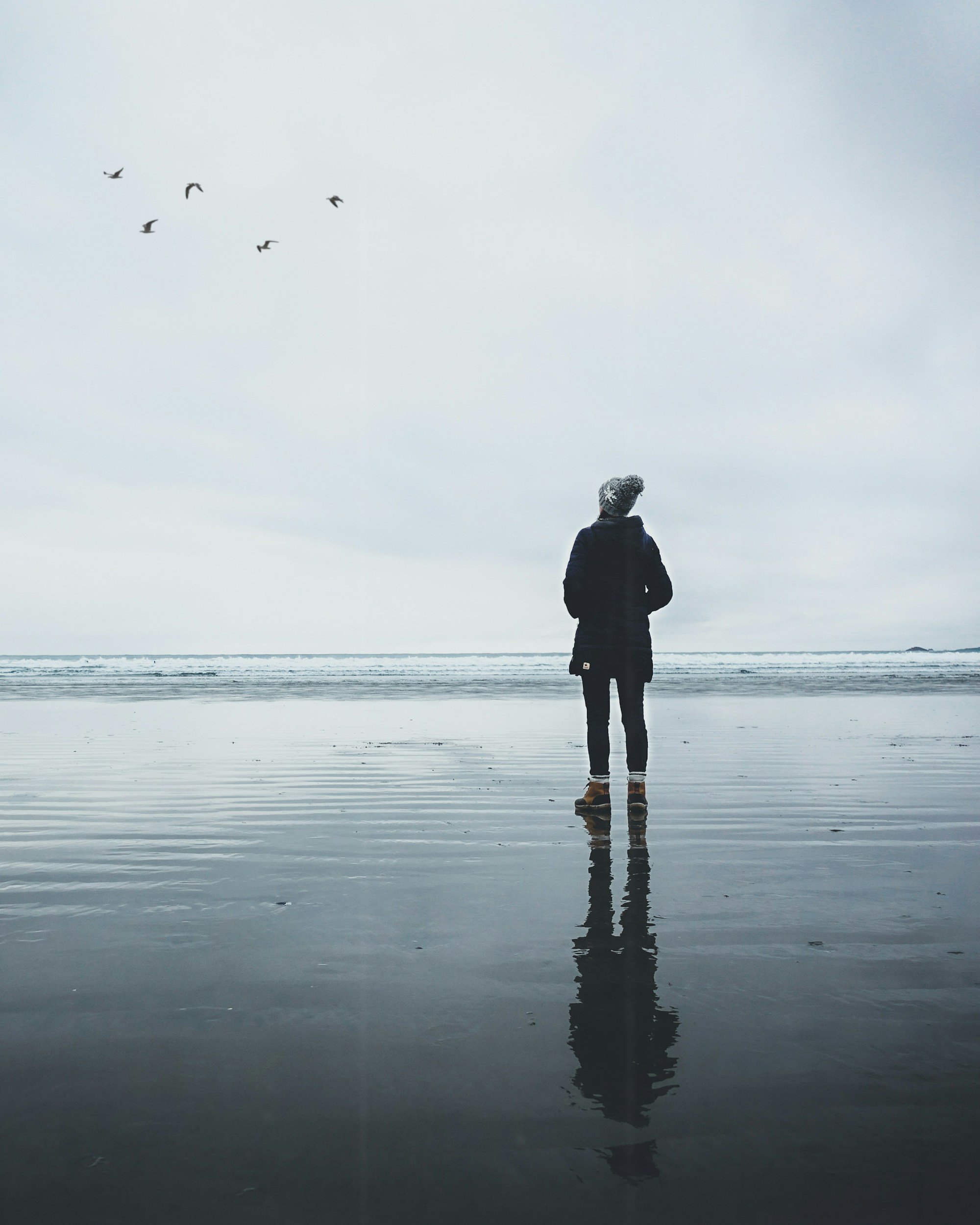 Person standing on a wet beach with reflection, looking at distant birds in cloudy sky.