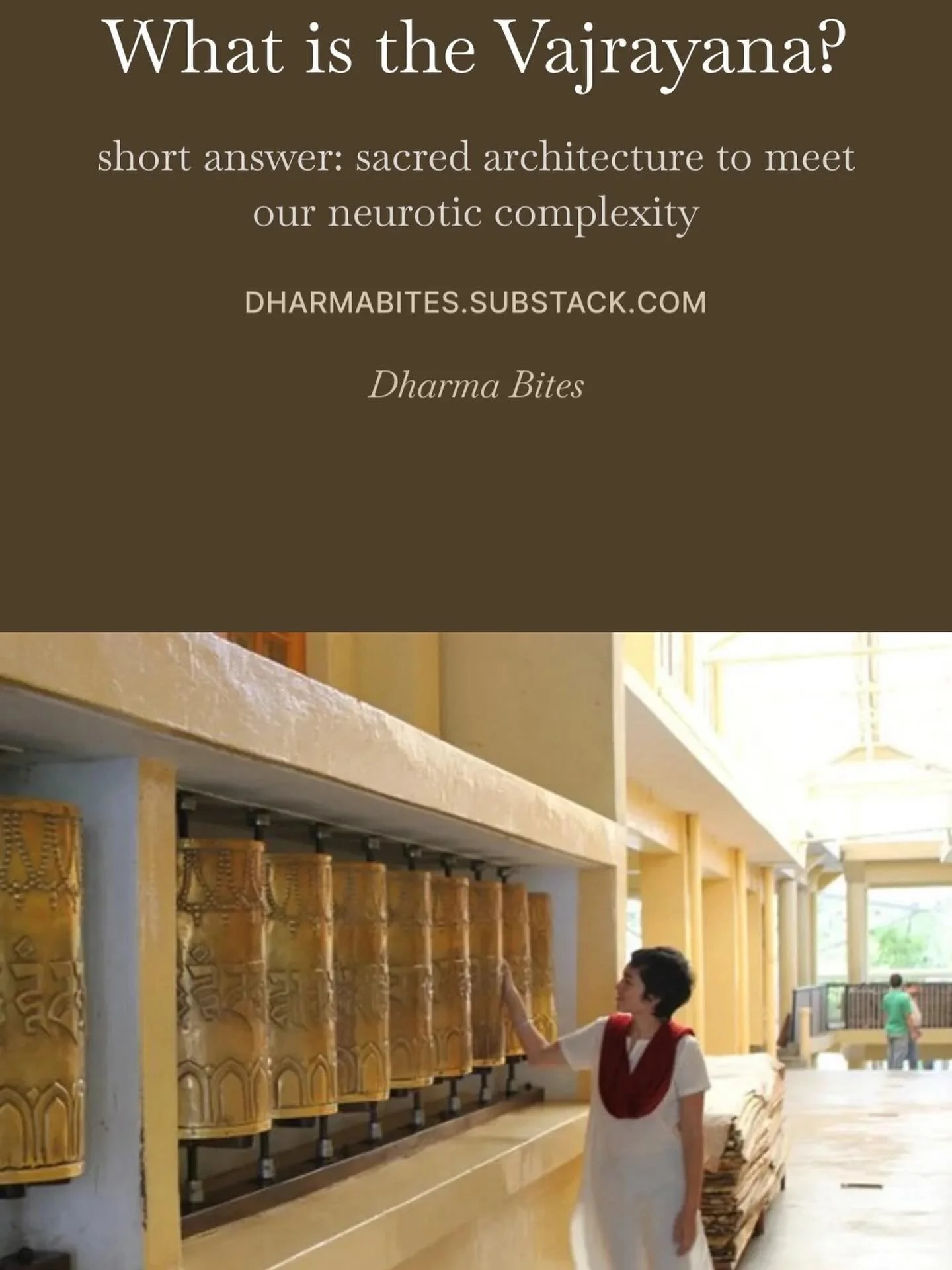 Sunisa has a new post up on her Substack, Dharma Bites. If you&rsquo;ve ever wondered what, exactly is the Vajrayana&mdash; she shares her answer and also how she got to practicing the Diamond Thunderbolt vehicle, from her roots in Theravada and Maha