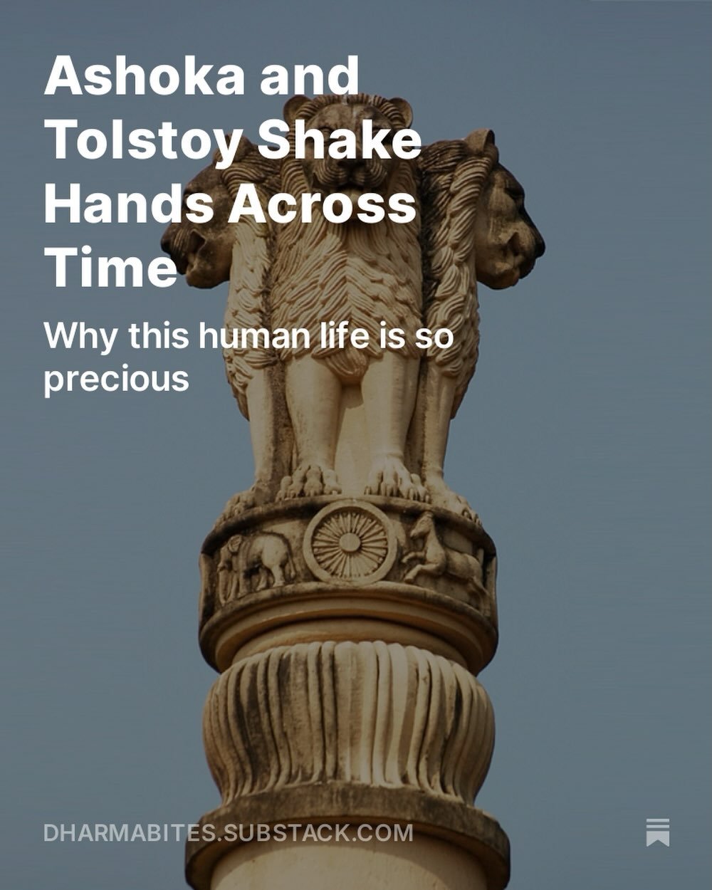 &ldquo;In Tolstoy&rsquo;s shoes, in Ashoka&rsquo;s, perhaps many of us would have ignored what we did in our careless youth, what we were doing when we followed orders. If we&rsquo;re slightly more reflective we might think back and feel shame but no
