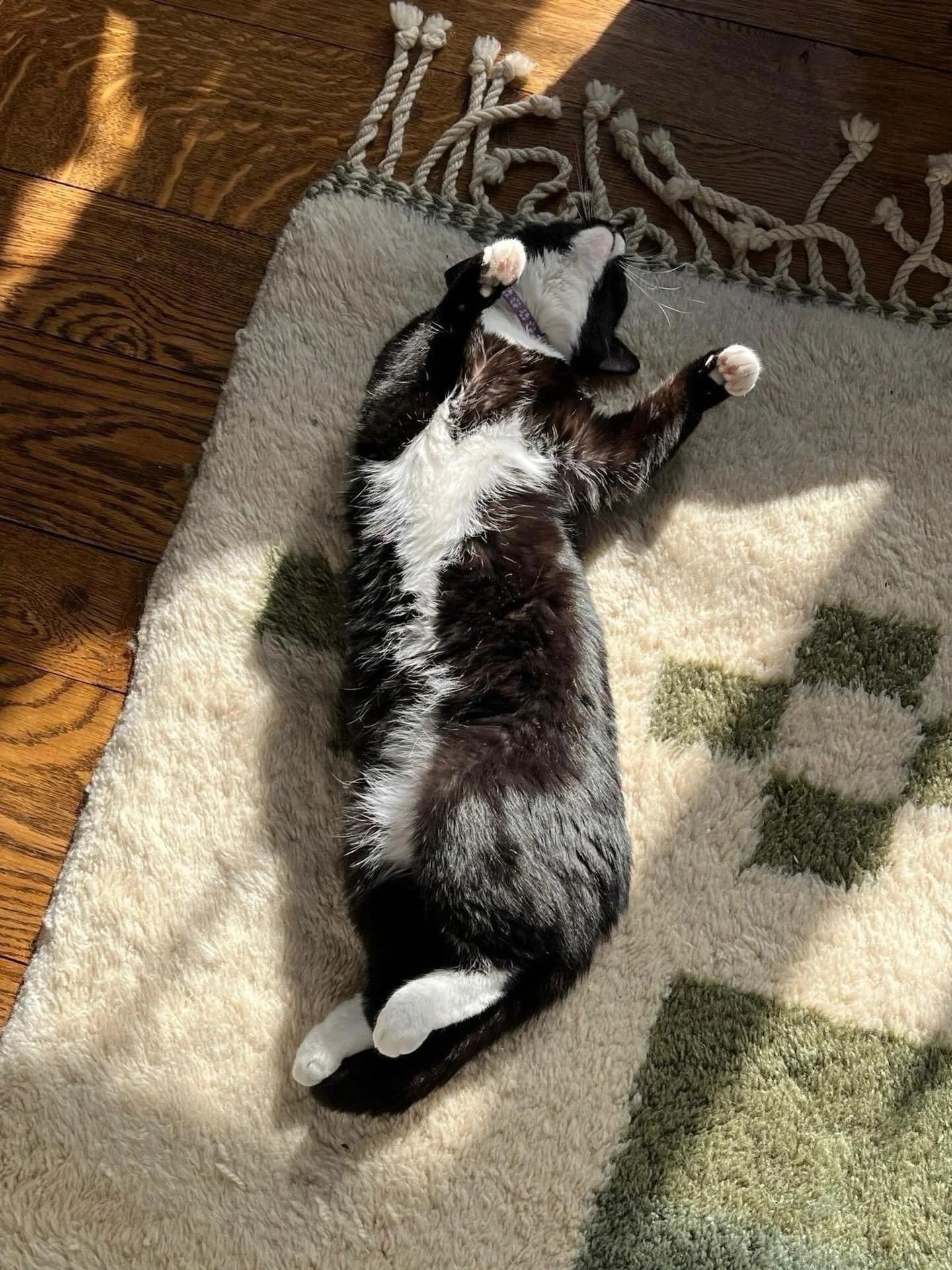 Heart Sangha is wishing everyone ease today ❤️