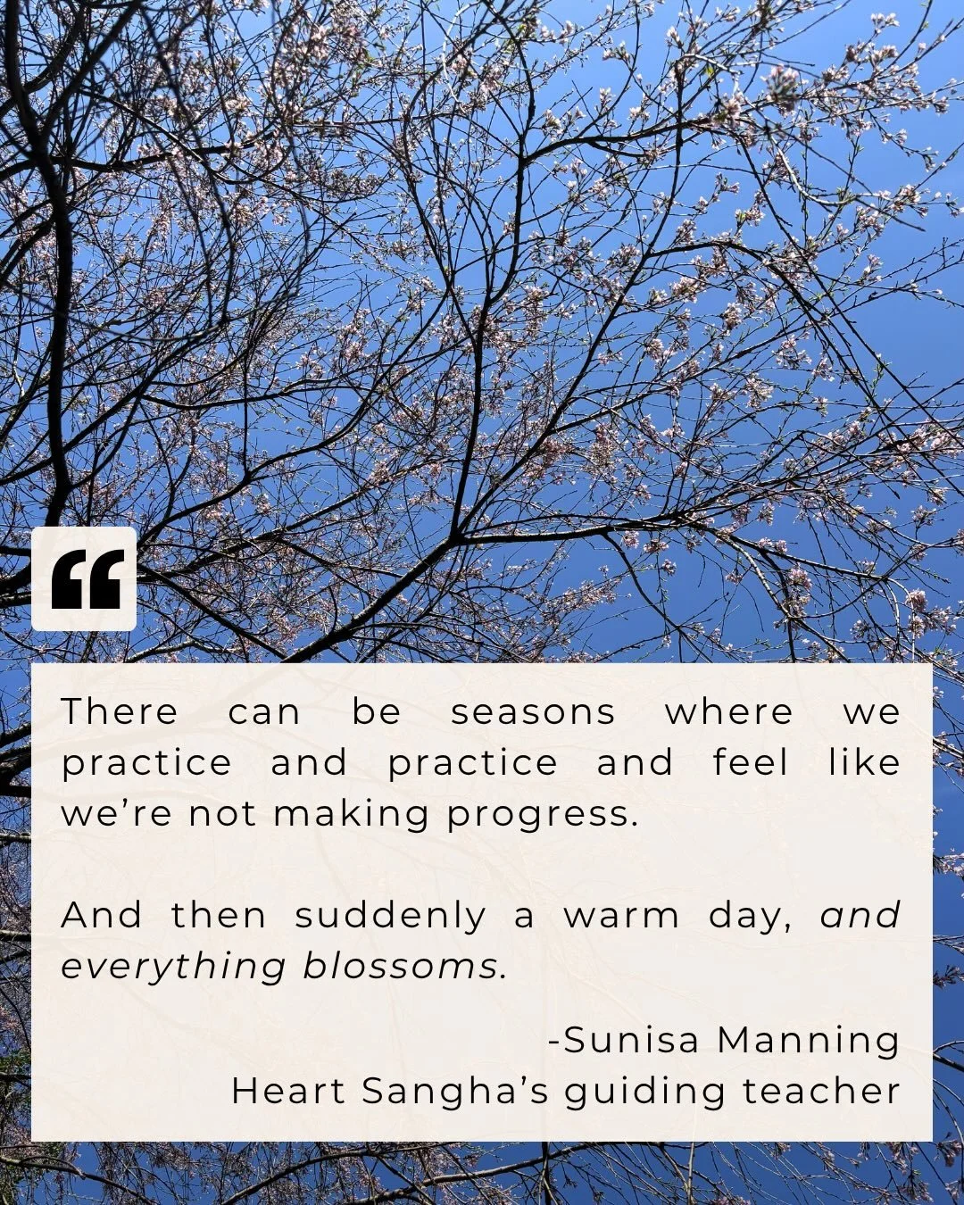 Join us for meditation, dharma talks, and community at our Padma Od Temple in Philly &mdash; 143 W. Walnut Lane, rear building, second floor.

Check out our events calendar on our website at the link in bio 🌟🌟🌟