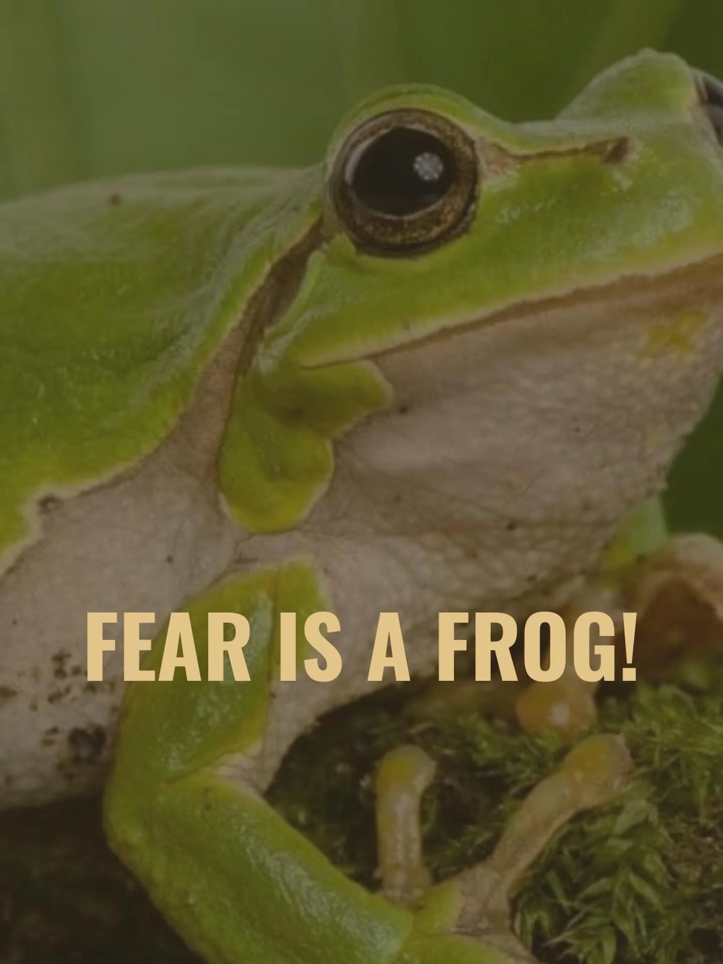 &ldquo;If we can laugh at something, it is a form of cutting through. The projection of fear, which has such solidity and immensity, loses its luster&hellip;My teacher Anam Thubten has said that Tibetans tend to be scared of frogs. So a typical Tibet