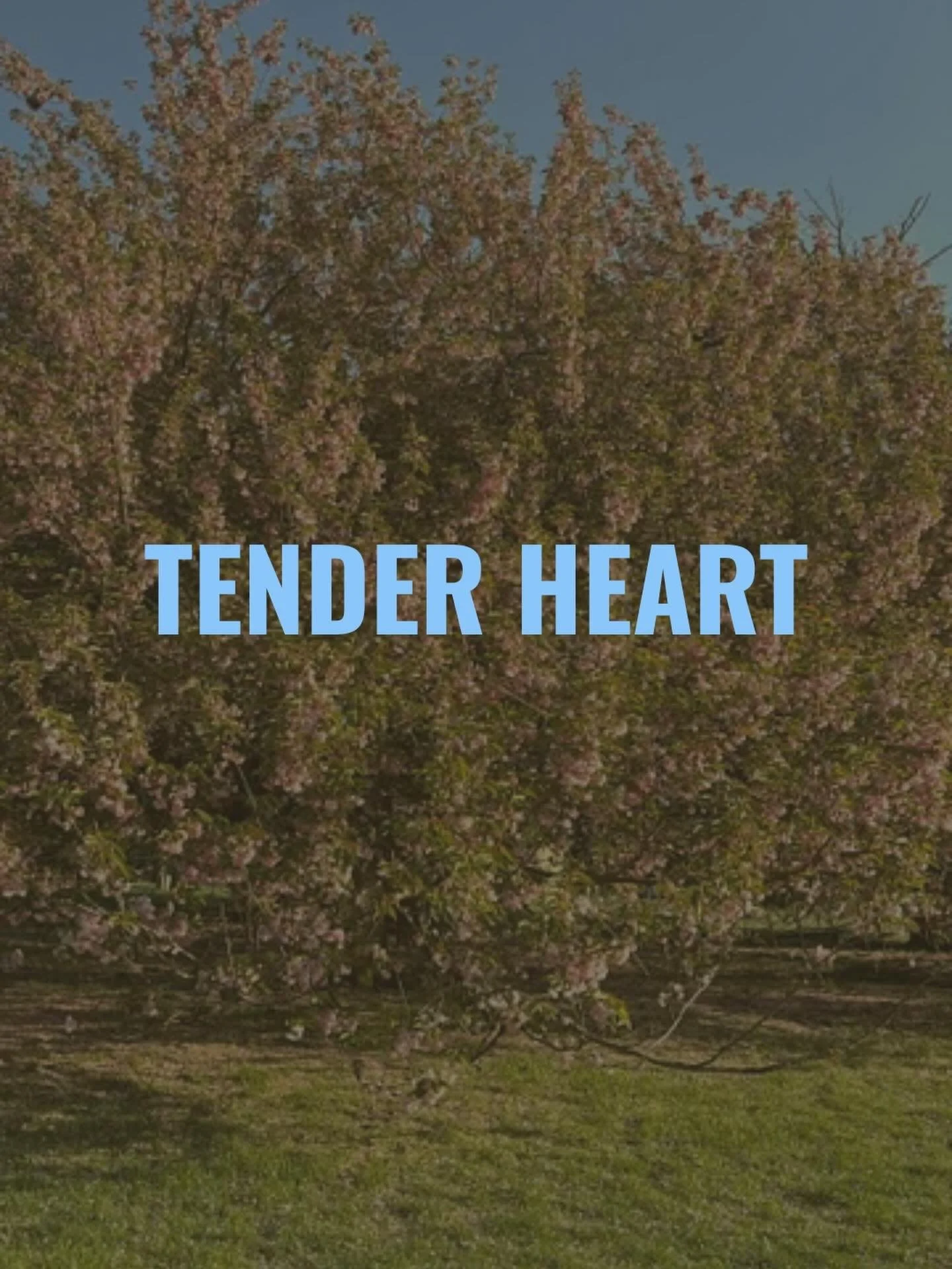 &ldquo;Before I was ordained I would have been embarrassed by the number of times I use the words &ldquo;heart&rdquo; and &ldquo;love.&rdquo; I guess I have a loud teenage part! But since taking my vows and holding this living lineage, I say these wo