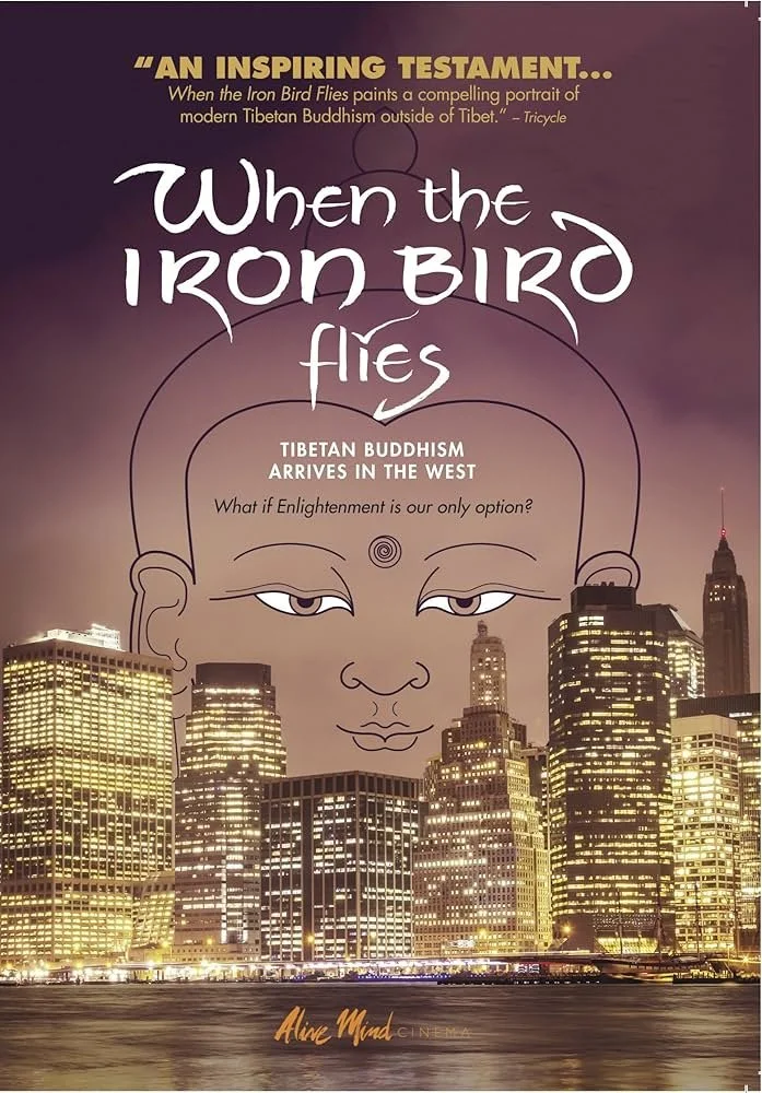 When the Iron Bird Flies