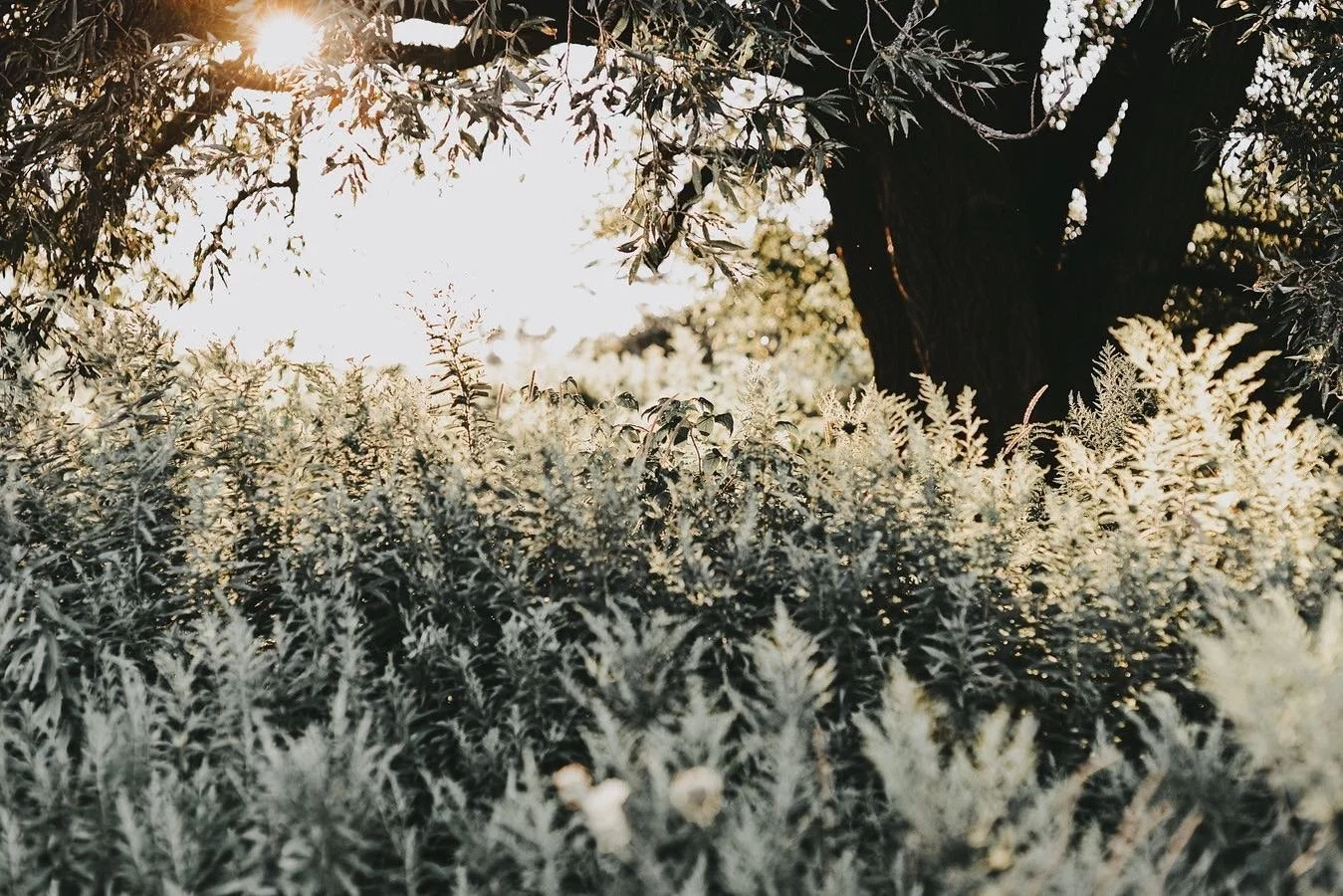 Lately I&rsquo;ve been assessing what I really want. 

I see all of the constant talk about &ldquo;manifesting the life you want&rdquo; and &ldquo;choosing again&rdquo;, but I can&rsquo;t help but think wonder how easy that really is. 

We are consta