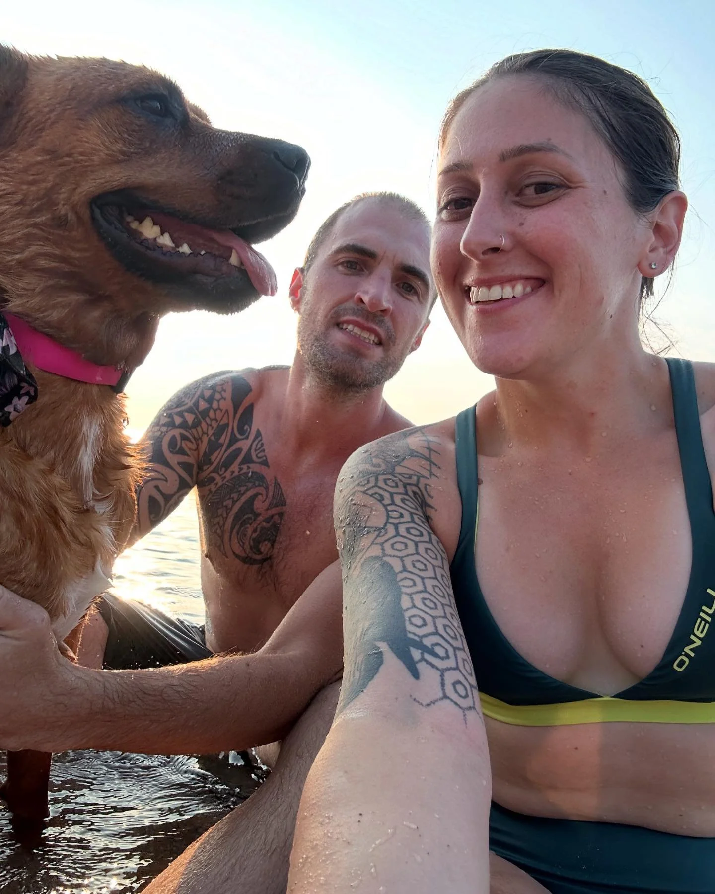 We went on a mini camping adventure this past week and it was so lovely to connect to nature and unplug from life. Needless to say, Sammy had a blast. 

@pineryprovpark #camping #campinglife #campingtrip #connectwithnature #unplugged #unplug #freedom