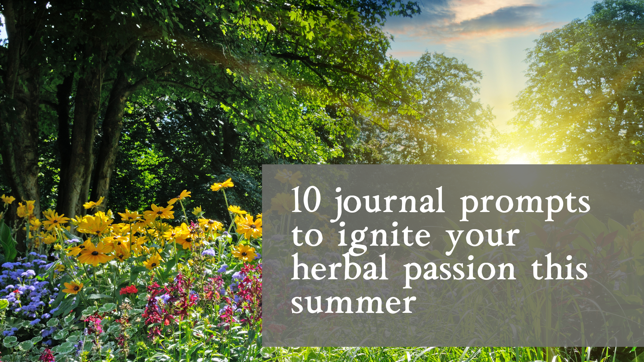 10 Journal prompts to ignite your herbal passion this summer