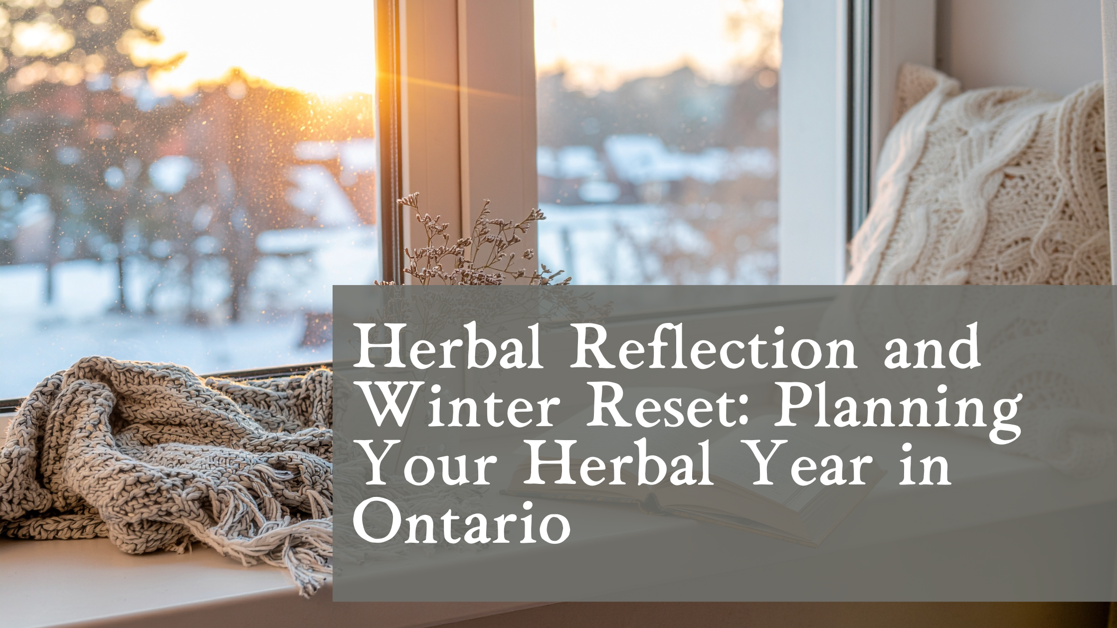 Herbal Reflection and Winter Reset: Planning Your Herbal Year in Ontario