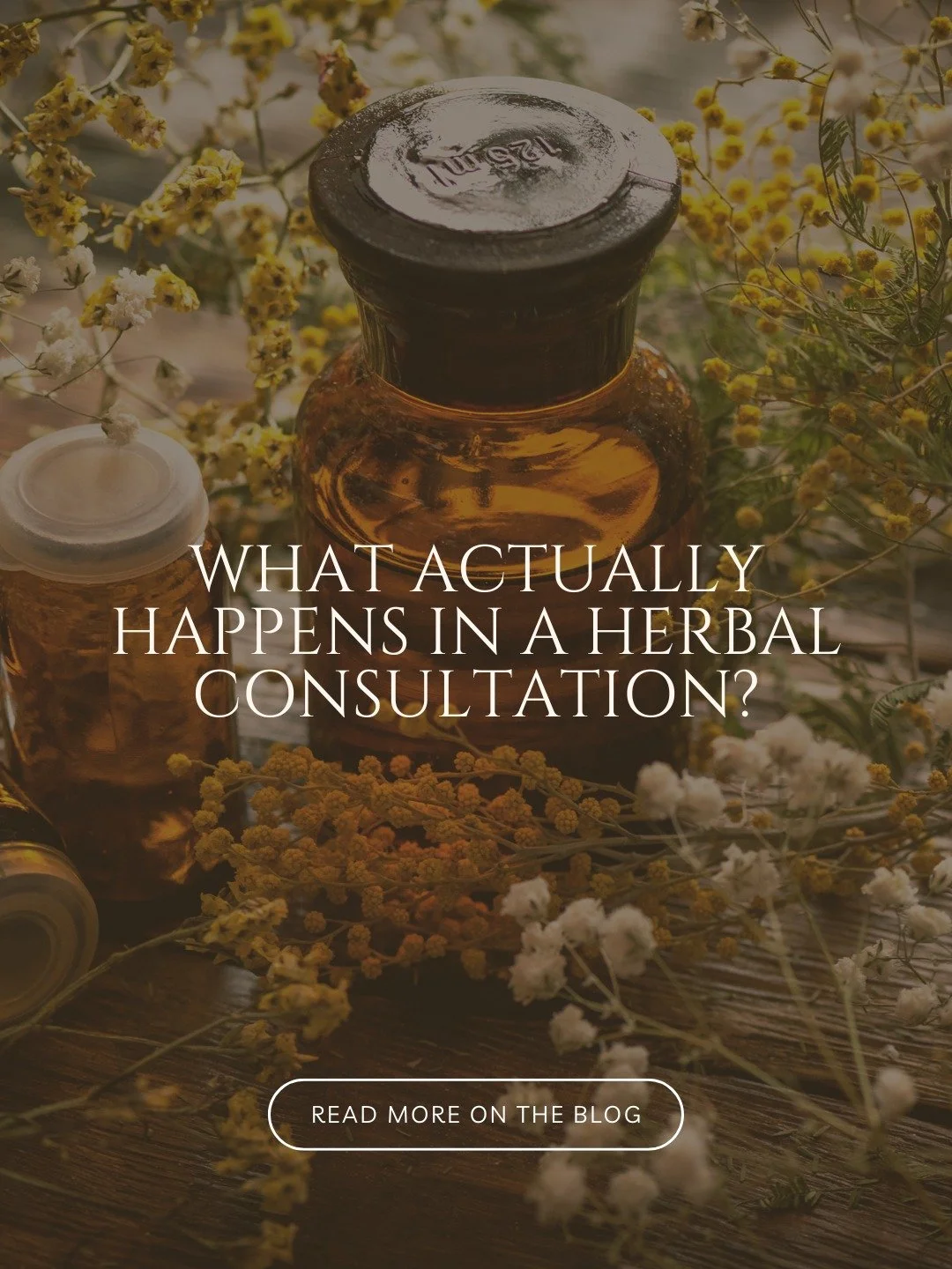 Curious what really happens in a herbal medicine consultation?

Here&rsquo;s how I currently structure sessions:

We start with your main concerns and what &ldquo;better&rdquo; would mean in your daily life.

We explore patterns over time instead of 
