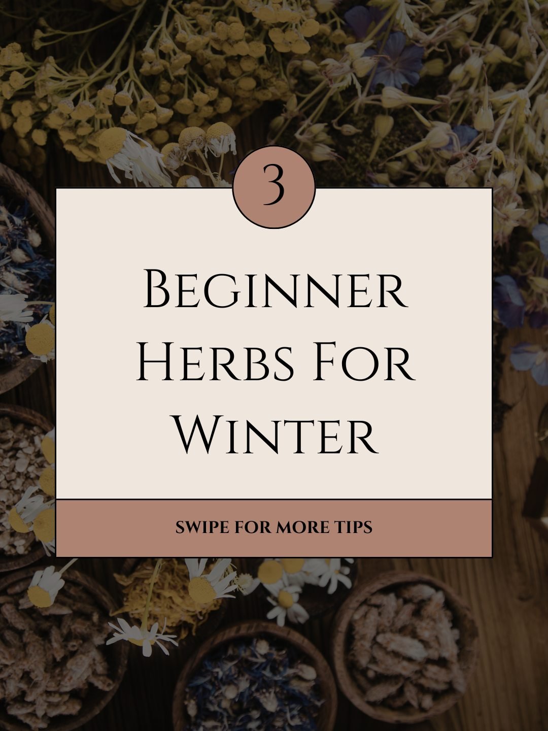 If you&rsquo;re newer to herbs, winter can feel like a complicated place to start. Let&rsquo;s keep it simple. ❄️

Three approachable herbs many beginners explore in colder months:

Chamomile &ndash; a gentle ally for digestion and winding down at th