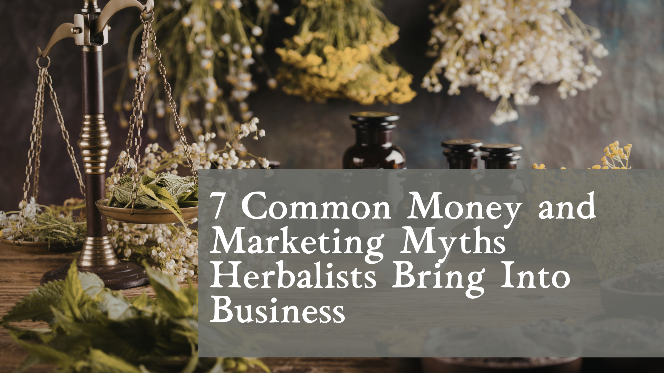 7 Common Money and Marketing Myths Herbalists Bring Into Business