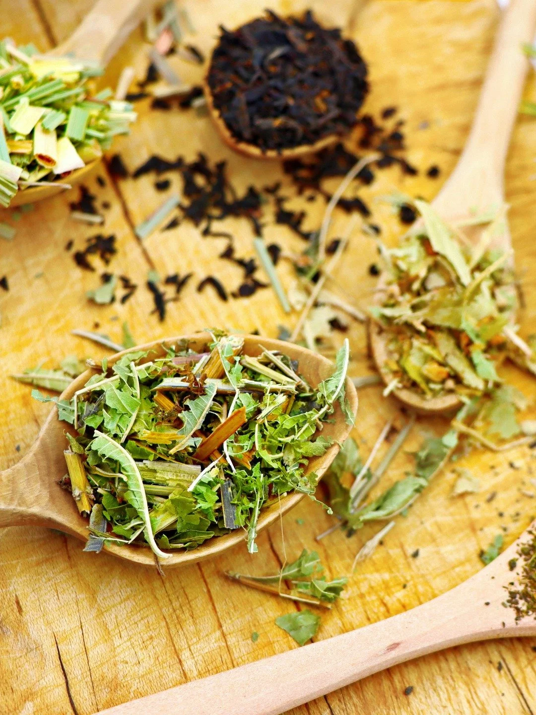 You don&rsquo;t need a fully stocked apothecary to start thinking about herbal first aid. 🌿

A simple beginning:

One salve or oil for minor scrapes and dry skin

One herb you trust for basic digestive upset (tea or tincture)

One nervous‑system all