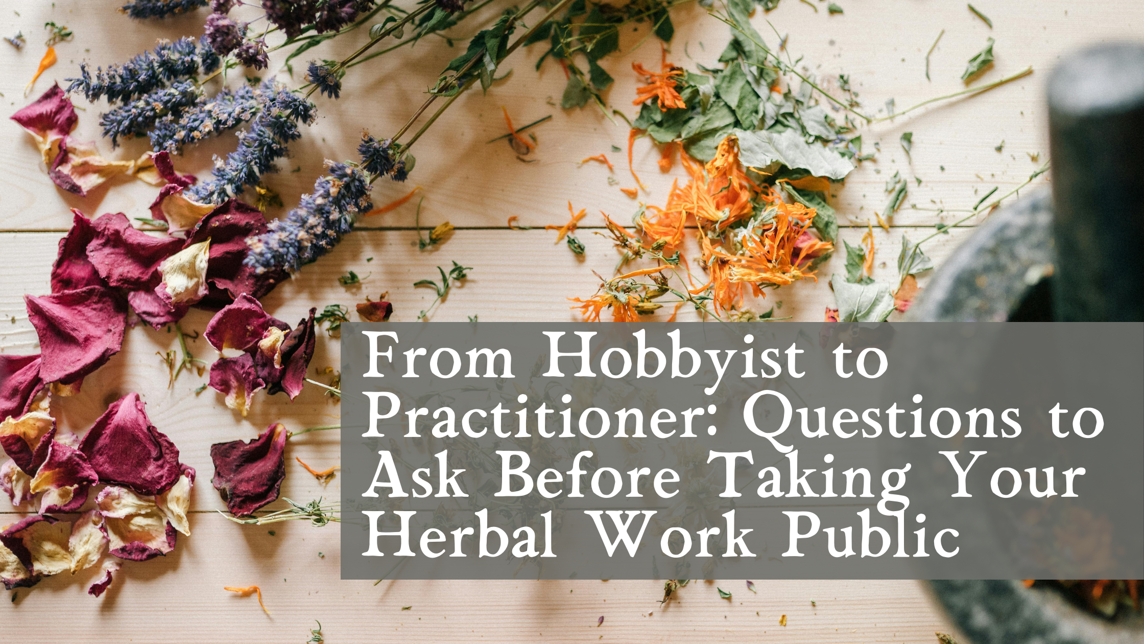 From Hobbyist to Practitioner: Questions to Ask Before Taking Your Herbal Work Public