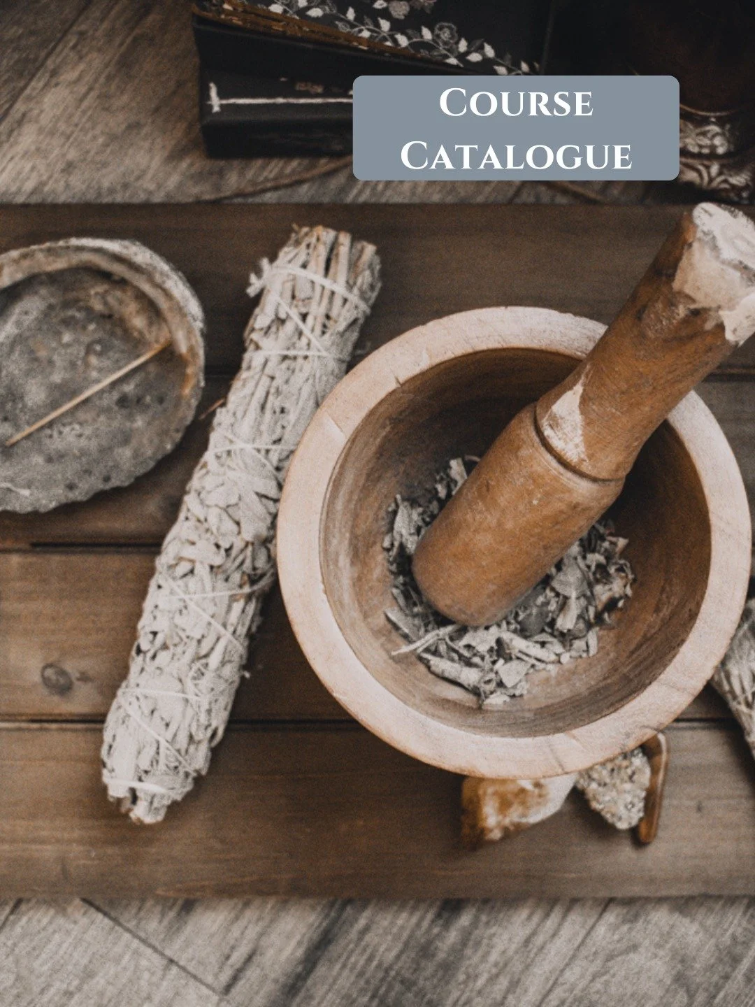 Whether you're brand new to herbs or ready to build a sustainable wellness business, there's a path for you. 🌿

I'm sharing a complete guide to my course offerings&mdash;so you can find the learning journey that feels right.

For Beginners:

Mindful