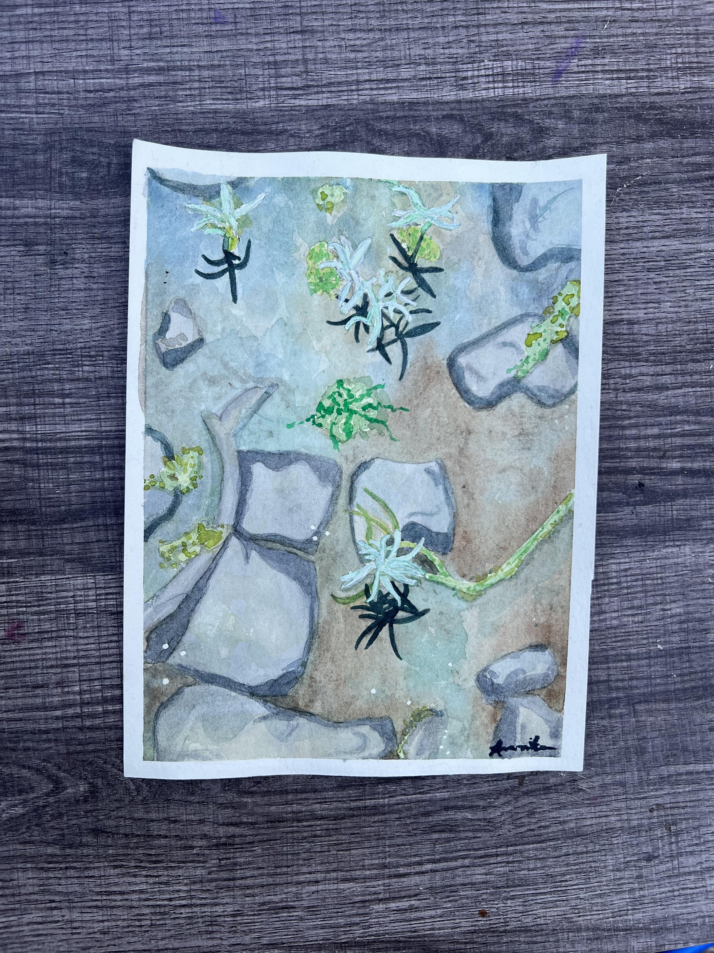 Lake shadows porfolio.jpg