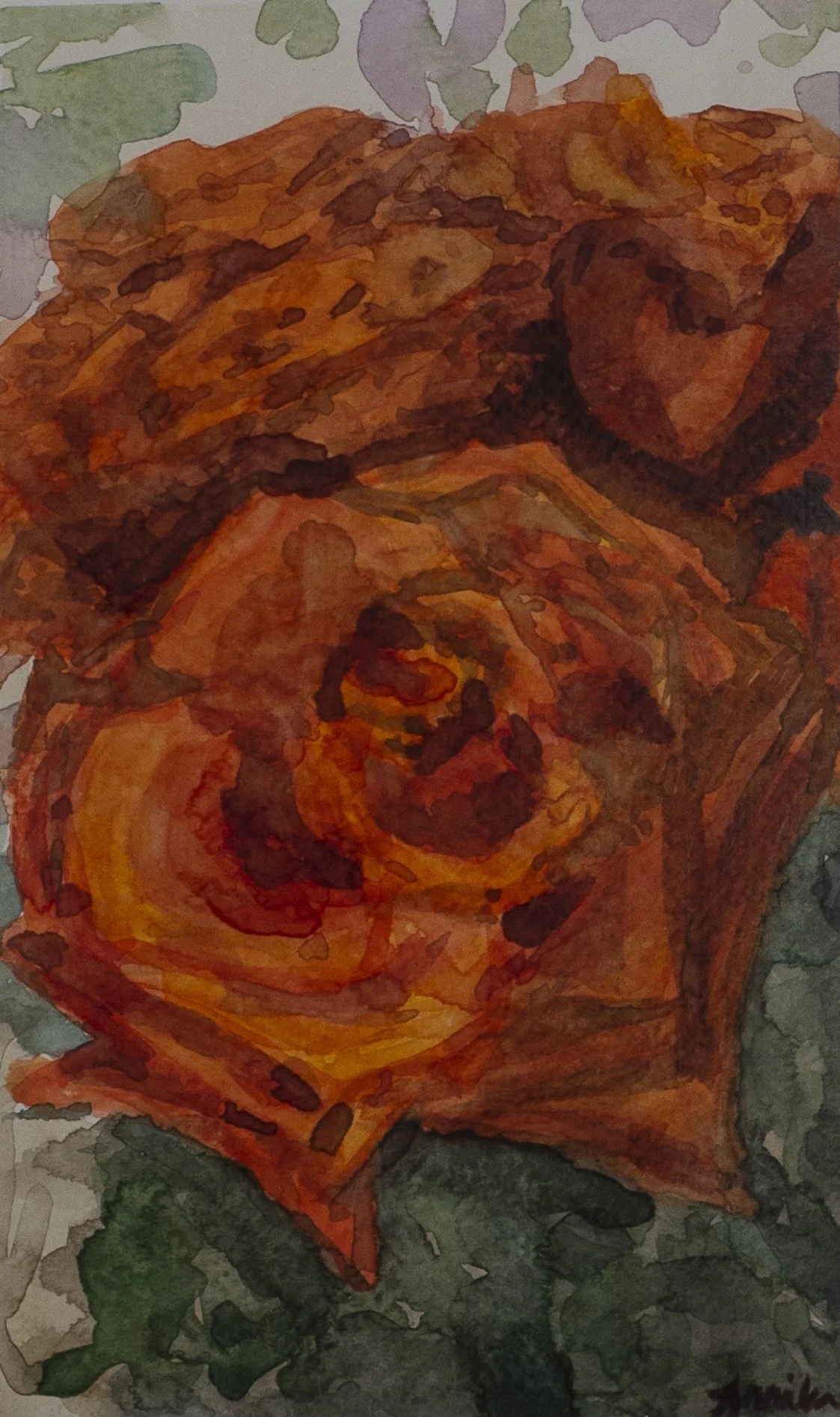 Roses in Watercolor .JPG