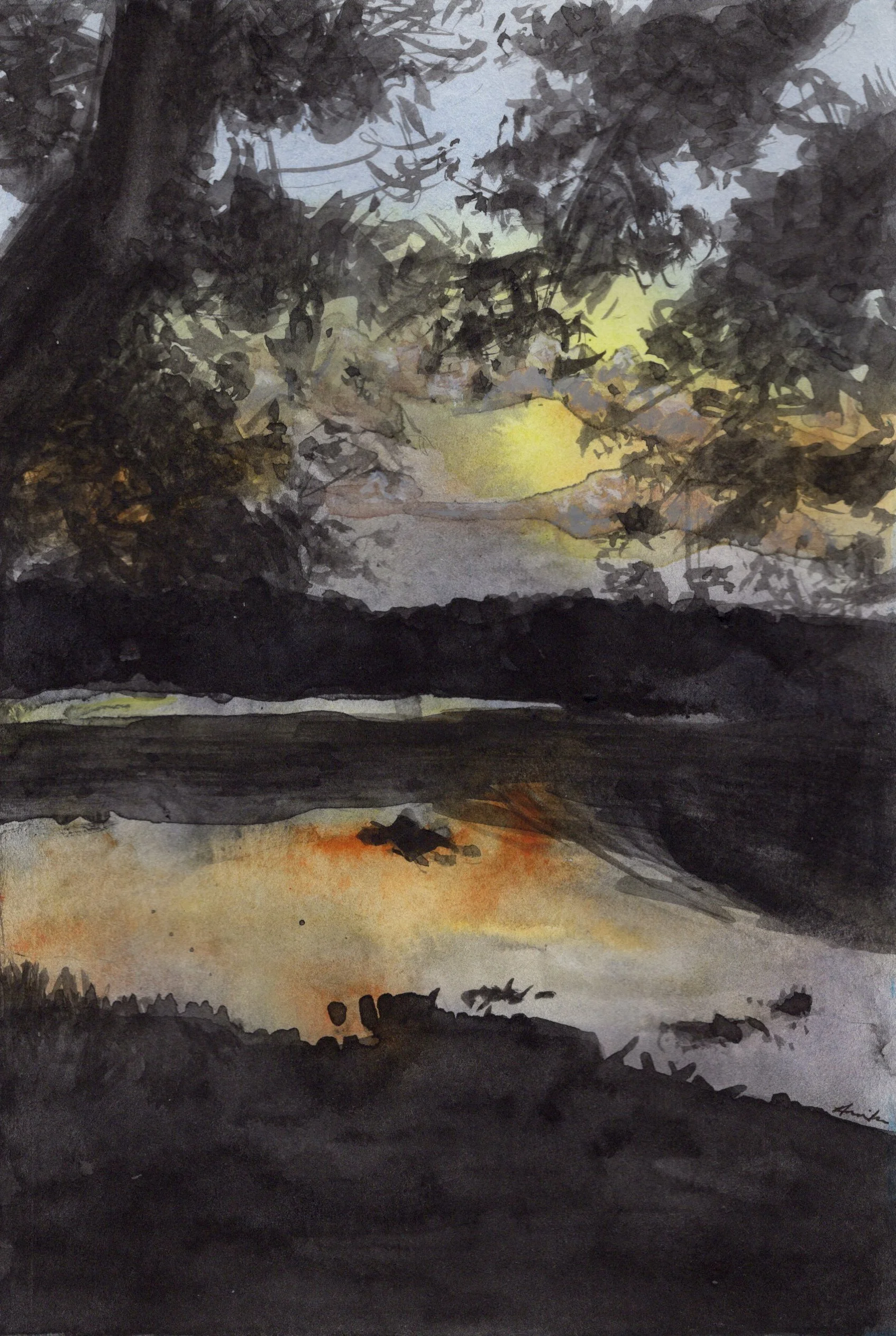 "Craighead Forest at Sunset"
Watercolor on Paper
2026 Sketchbook