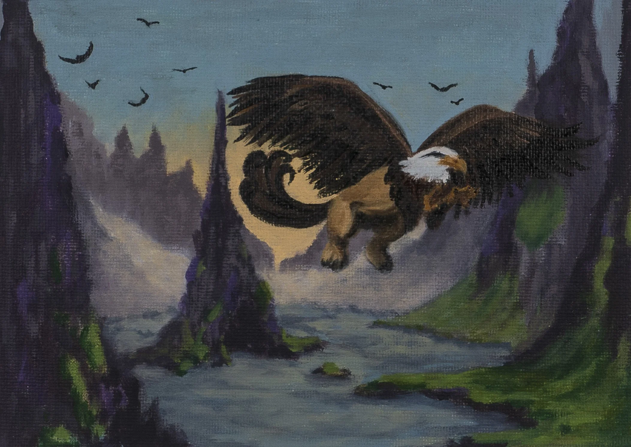 Griffon in Flight.JPG