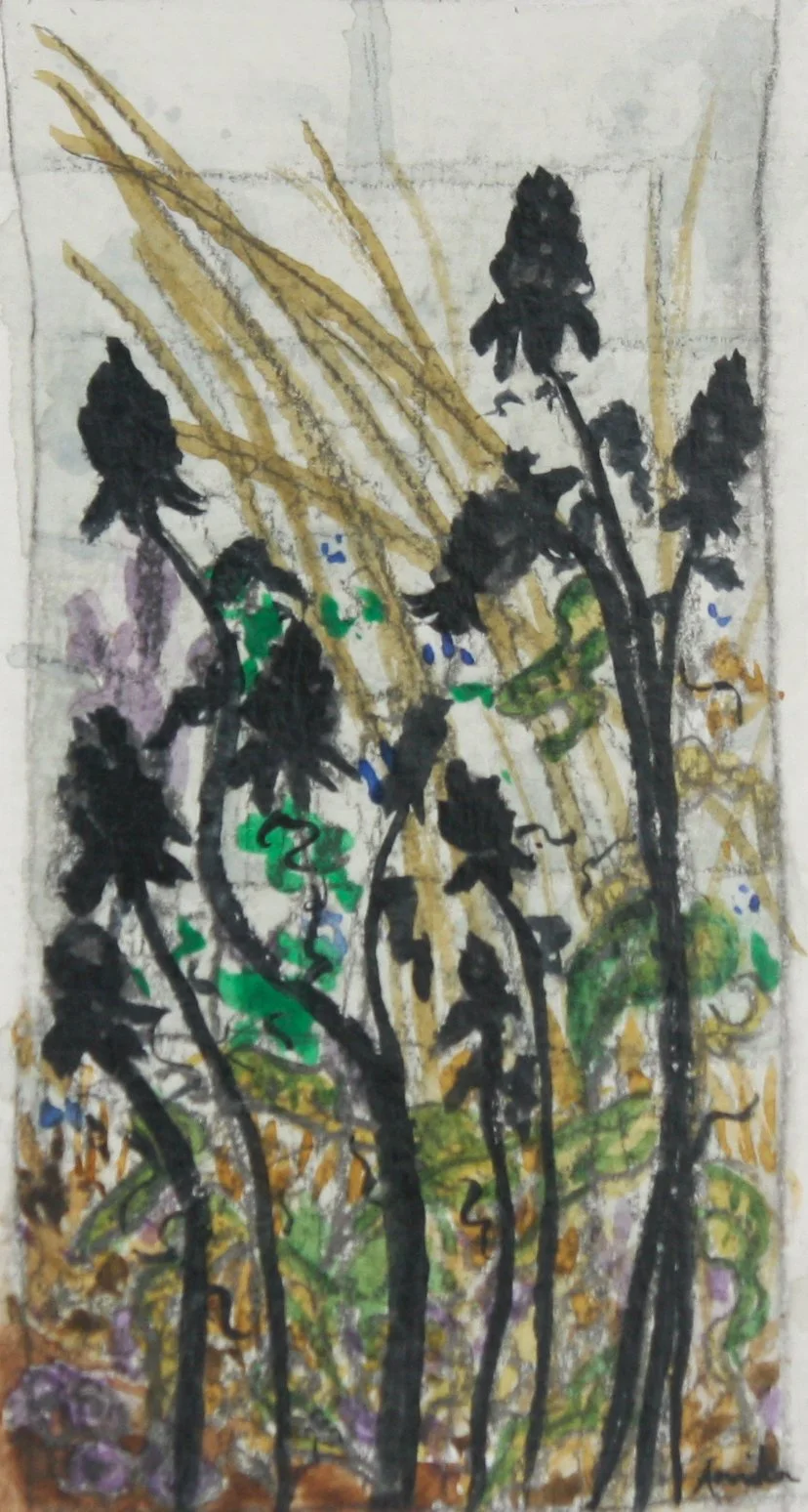 Museum Garden Windsor Cannon.jpg