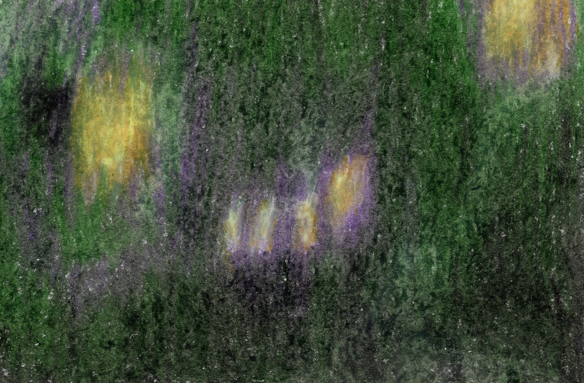 Follow the Leader - Art Print