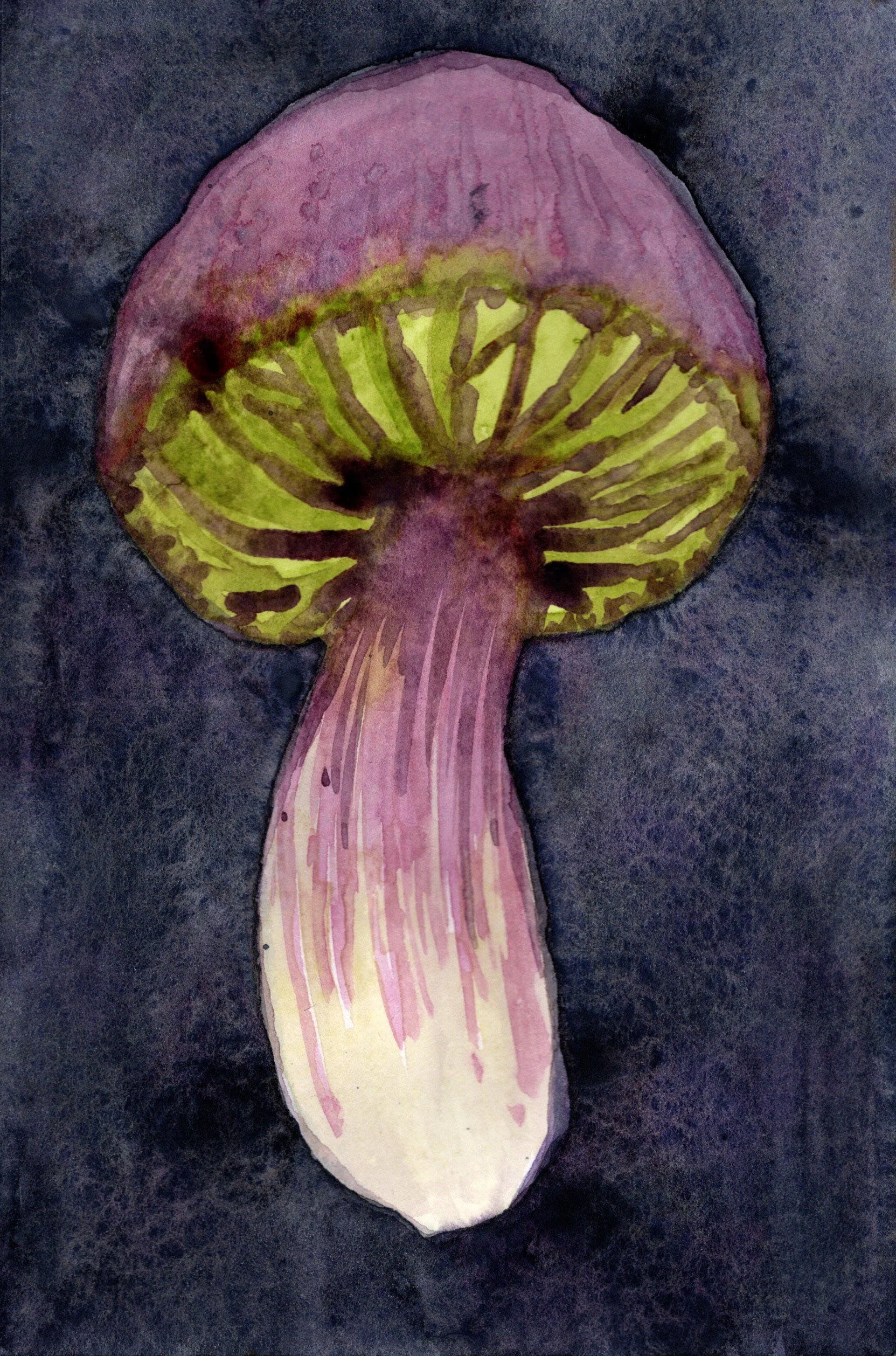 Mushroom Study 4 - Art Print