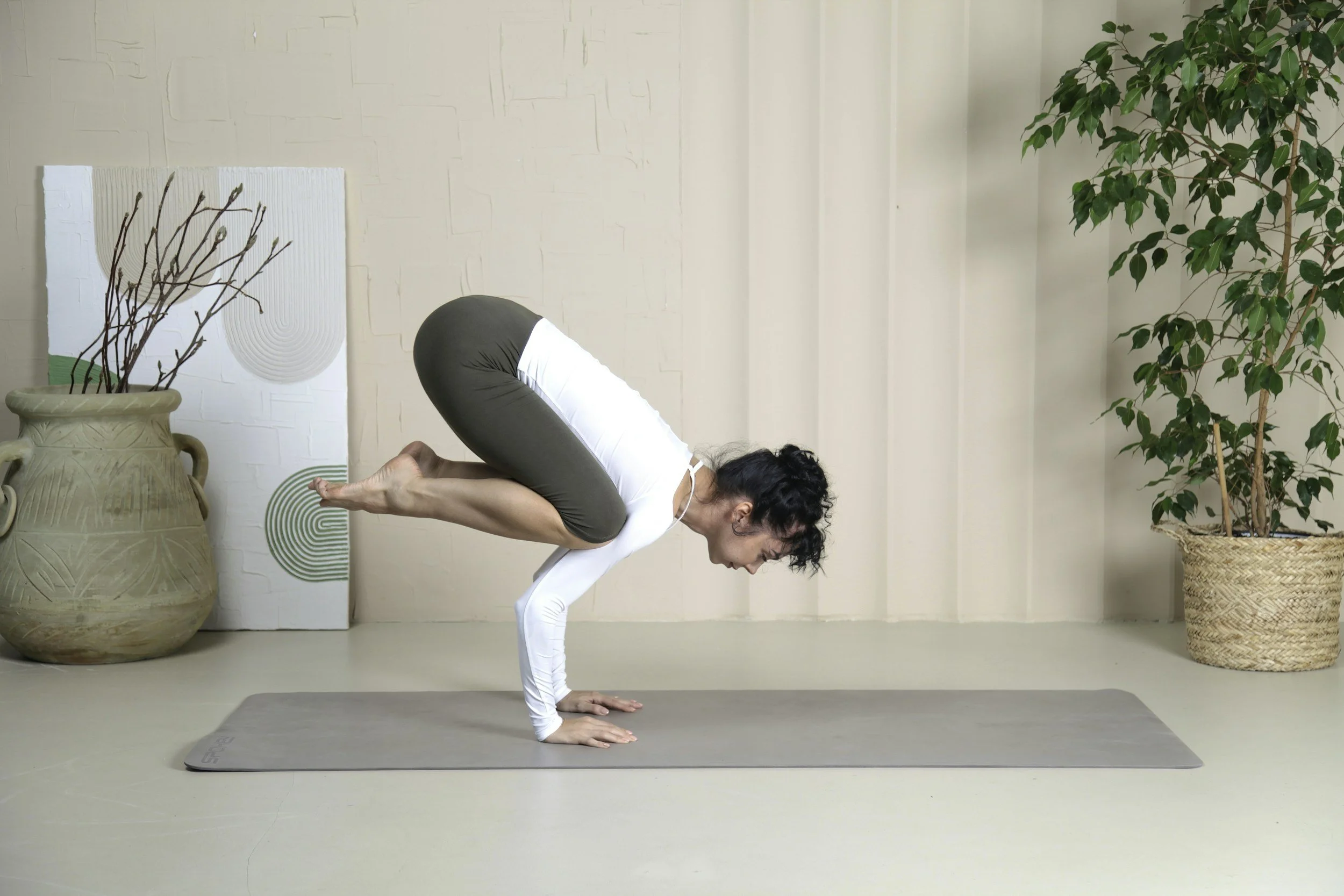 Inclusive Asana & Embodied Practice