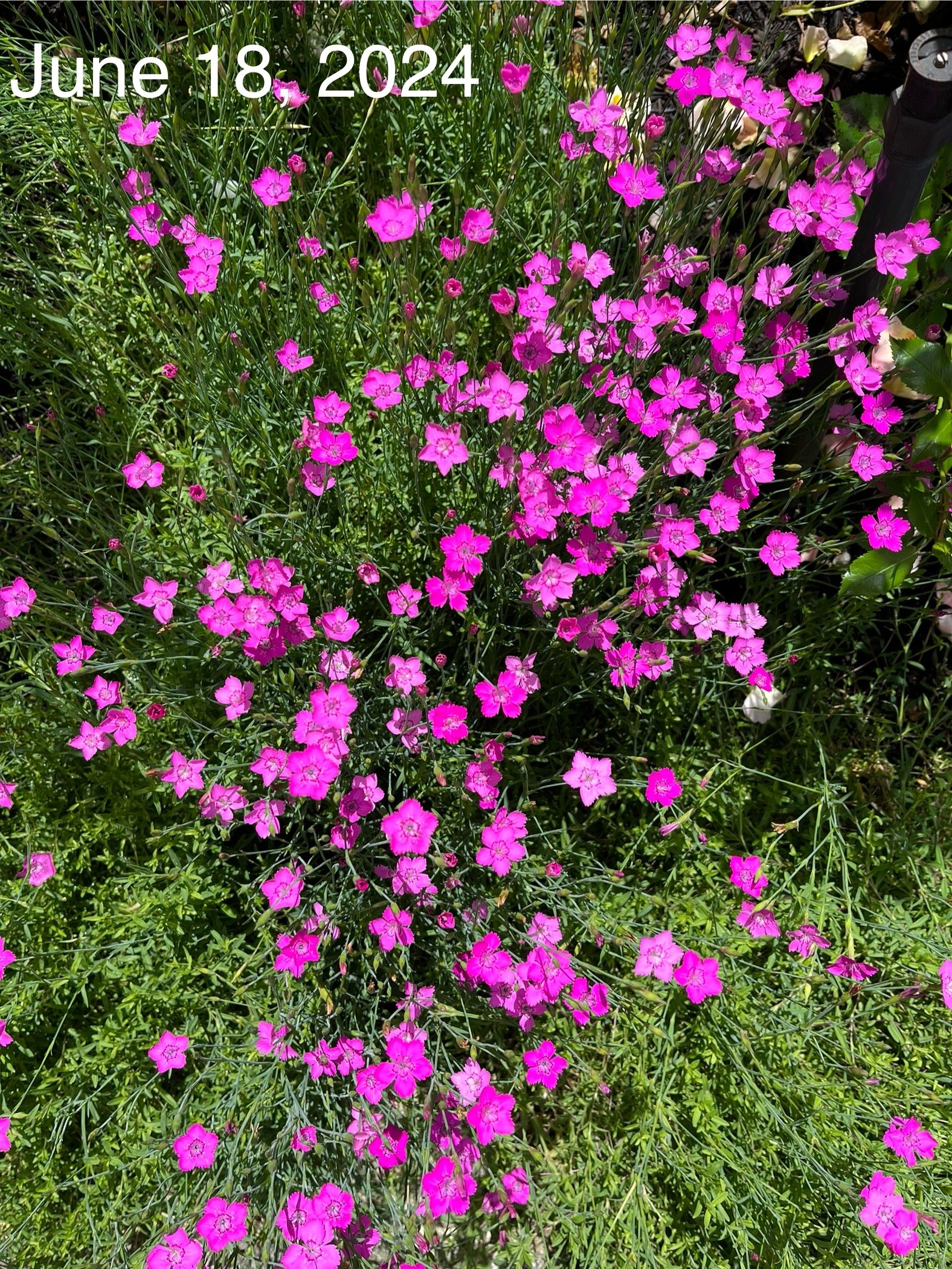 72086D5D-F308-4FAE-97FE-2FF58E71567D.jpeg