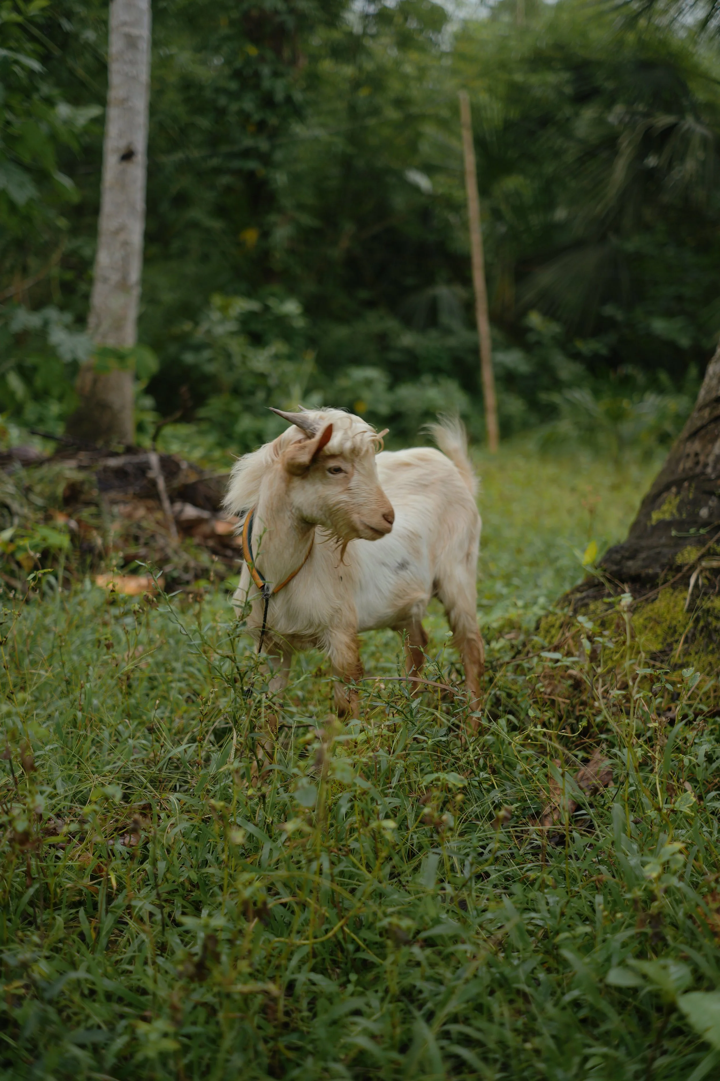 20260201-P1056733.JPG
