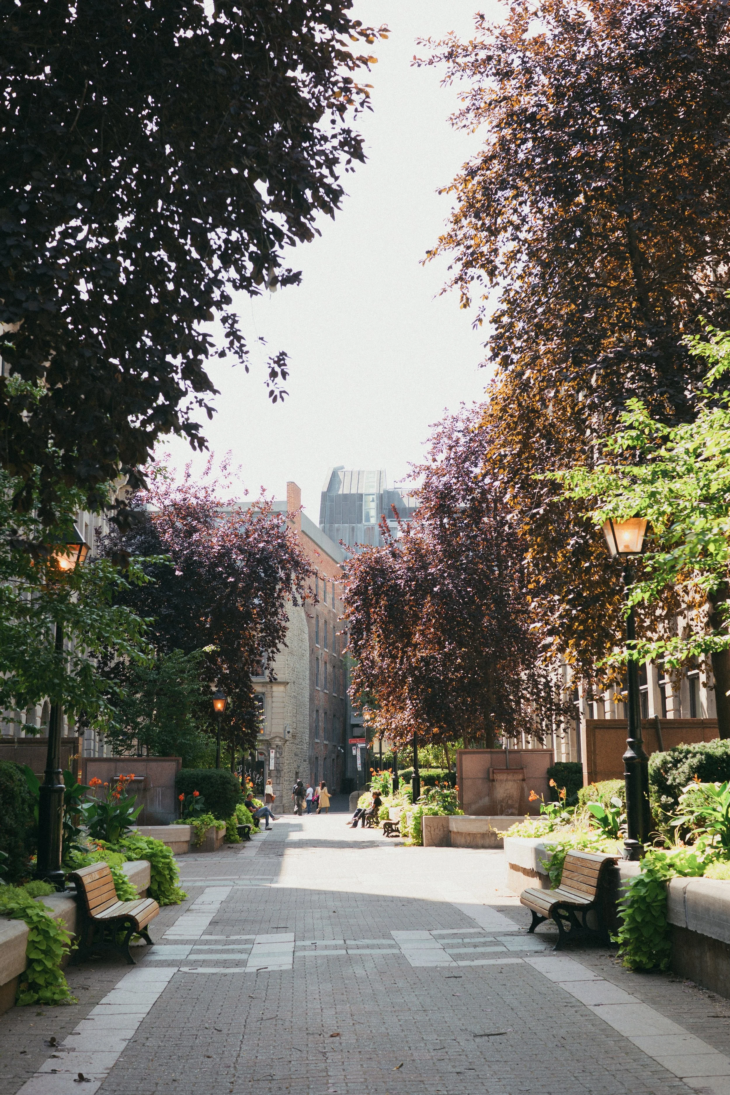 Montreal-2025-1034264.jpg