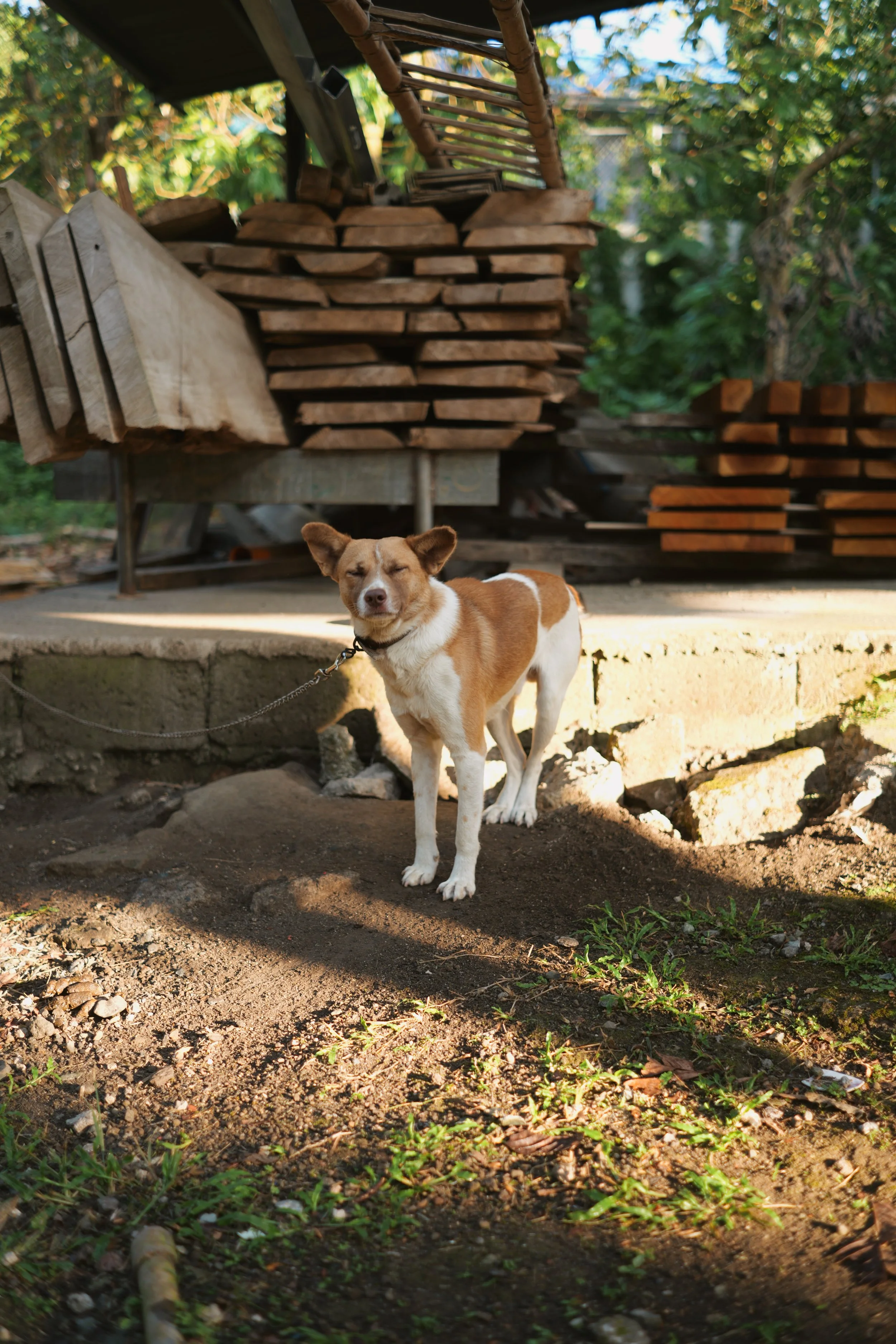 P1056415.JPG