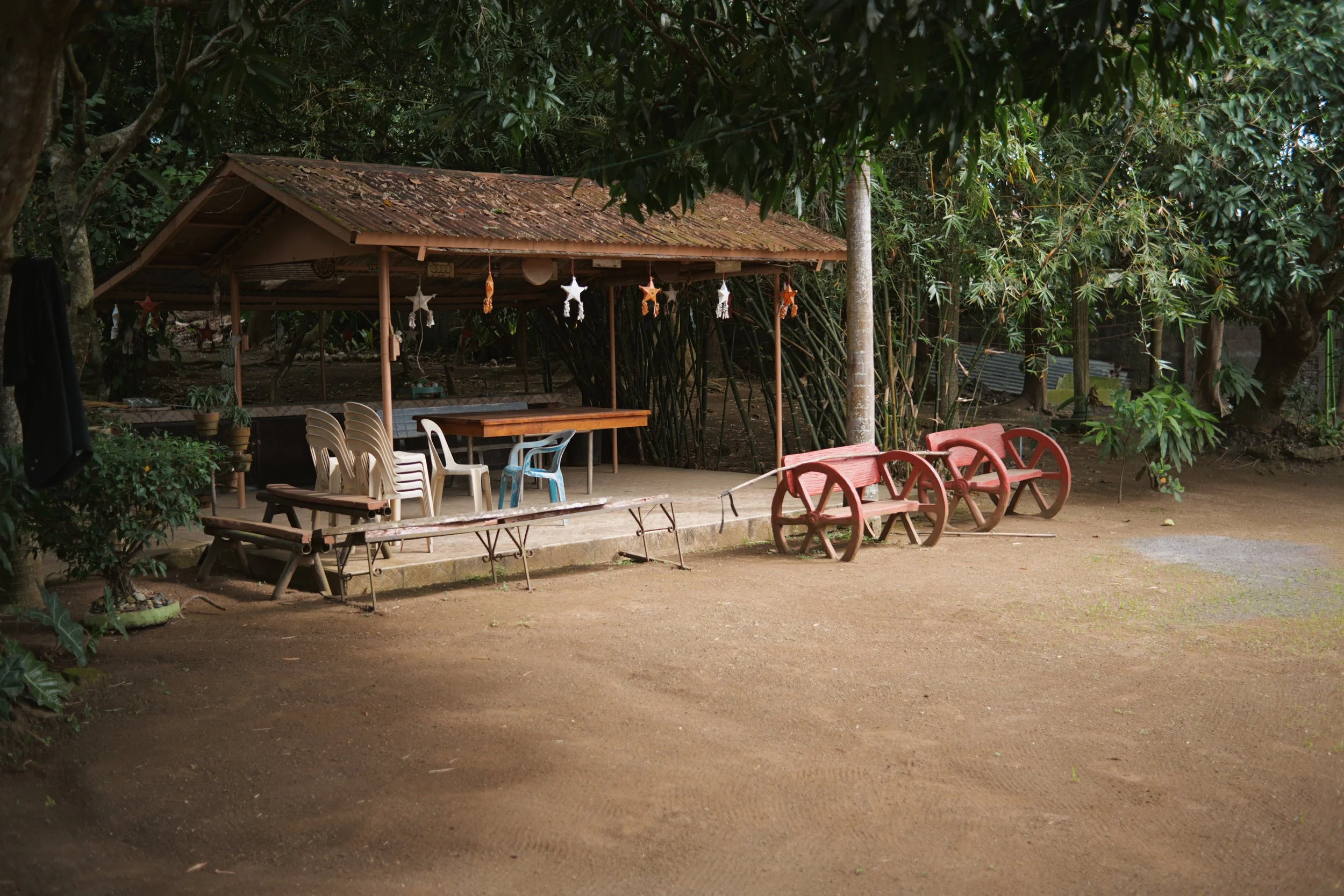 P1056279.JPG