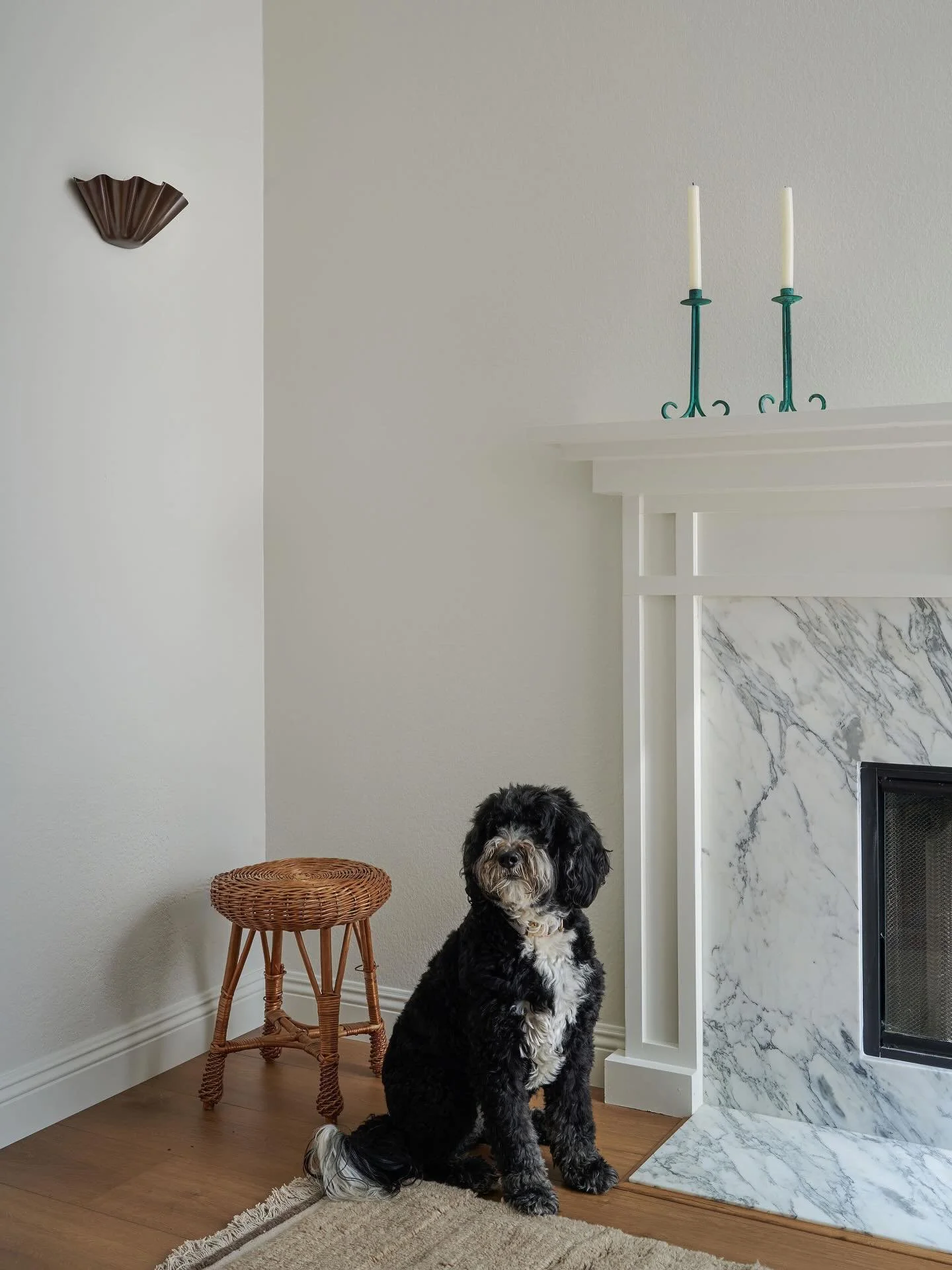 This one is for the sweet dogs of past California Revival Studio projects!! Meet Willow &amp; Jack 🫶🏼🐶 

_____________________ 

Design: @californiarevivalstudio 

#CRSxAvenidaCiruela
Photography: @jennajophoto 
Styling: @en.shell.space 
Build: @s