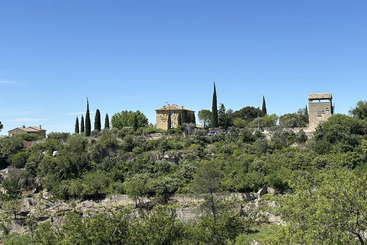 TRAIT DAXE-RENOVATION-PAYSAGE.jpg