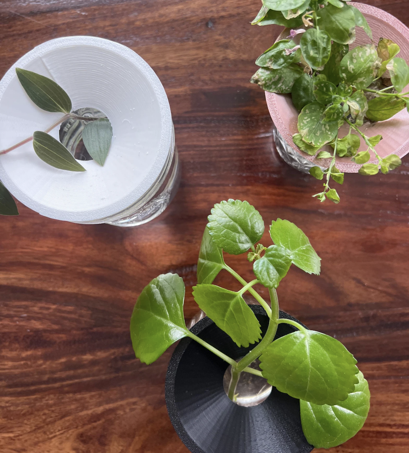 propagation plates.png