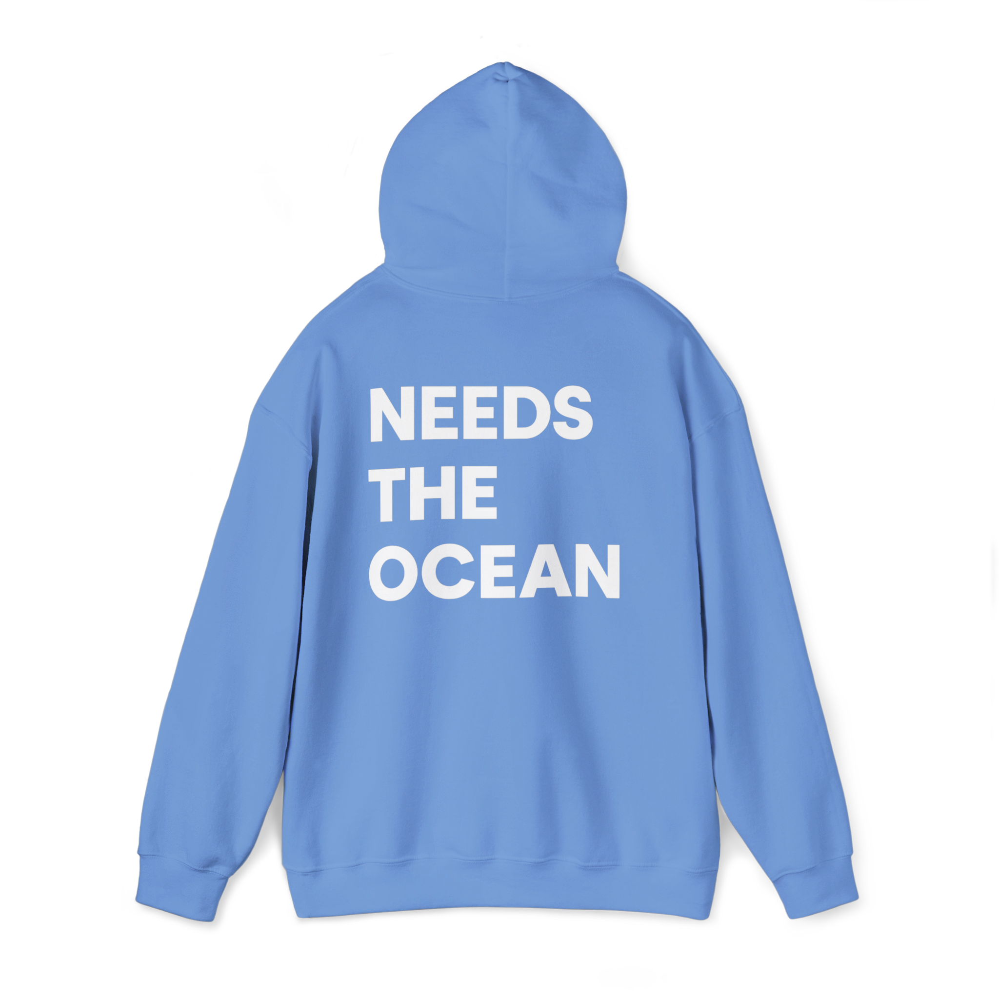 Back 2, Carolina Blue (1).png