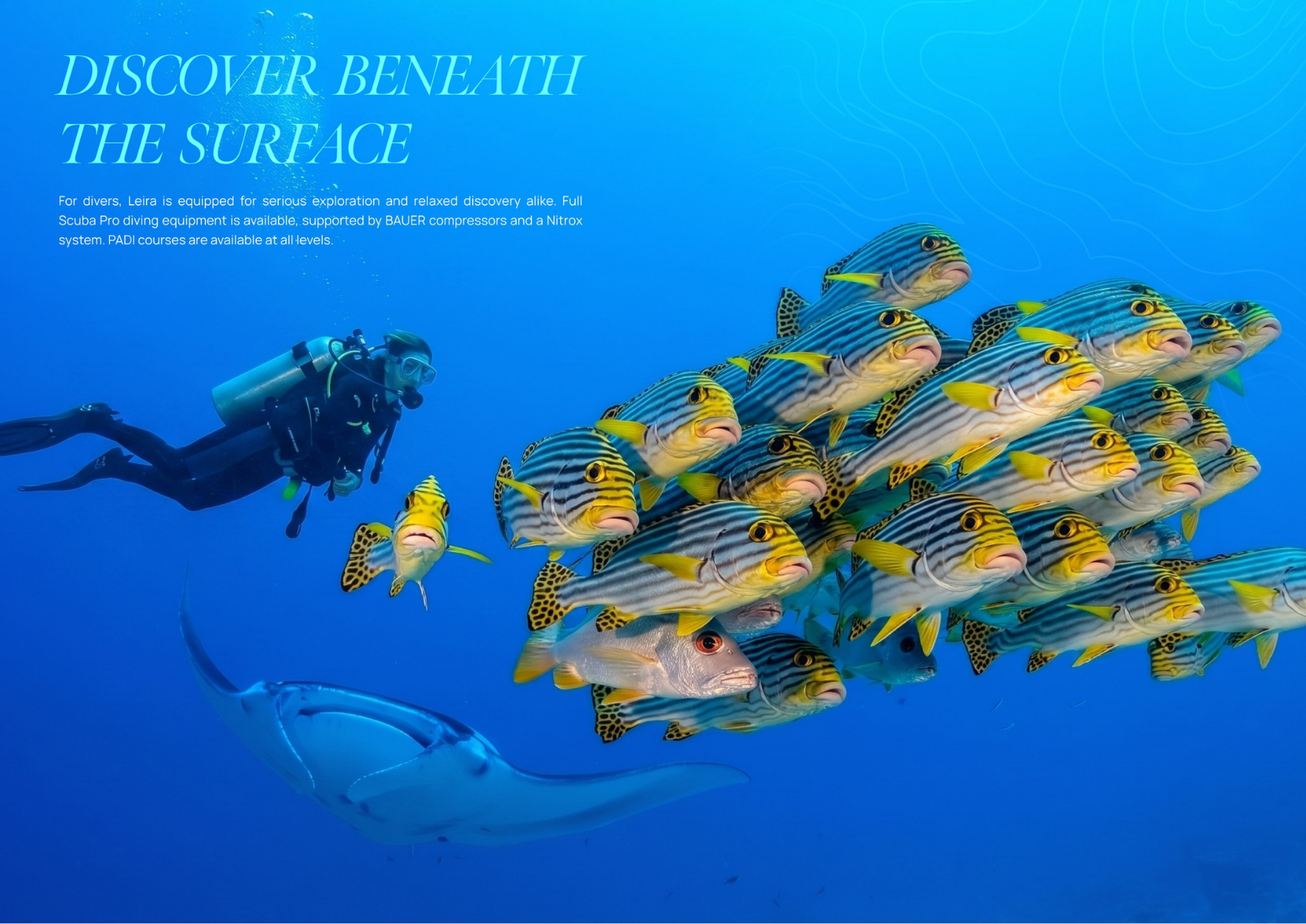 Divers onboard Leira Maldives