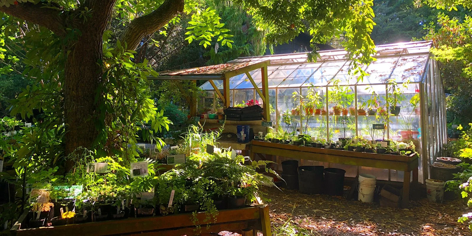 kruckeberg-gardens-greenhouse.jpg