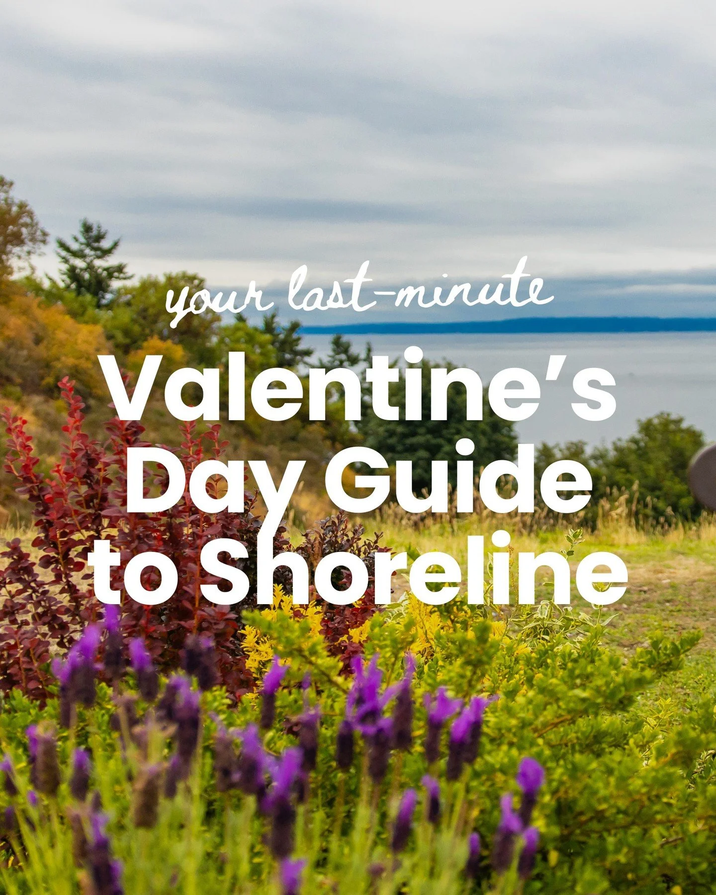 Procrastinators, this one's for you 🌹

Last-minute Valentine's Day plans in Shoreline that'll make you look like you've had it all figured out for weeks. 👉 We got you! 

#ShorelineWA #ShorelineLife #ShorelineLove #ShorelineThingsToDo