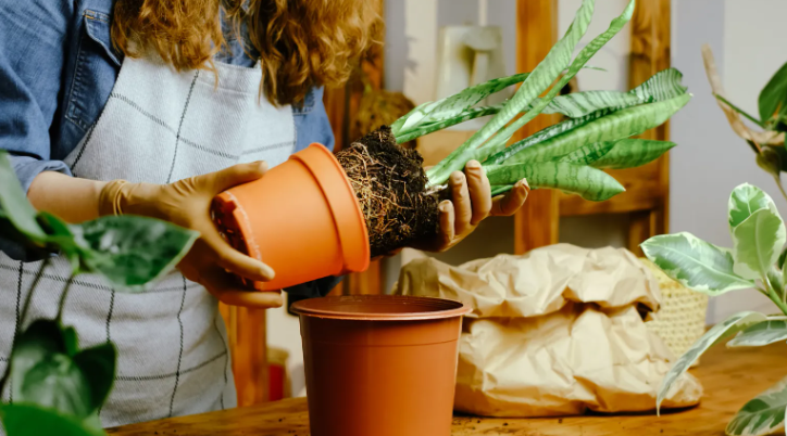 Screenshot 2026-03-15 145414.png