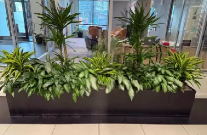 Screenshot 2026-03-15 145456.png