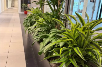 Screenshot 2026-03-15 145532.png