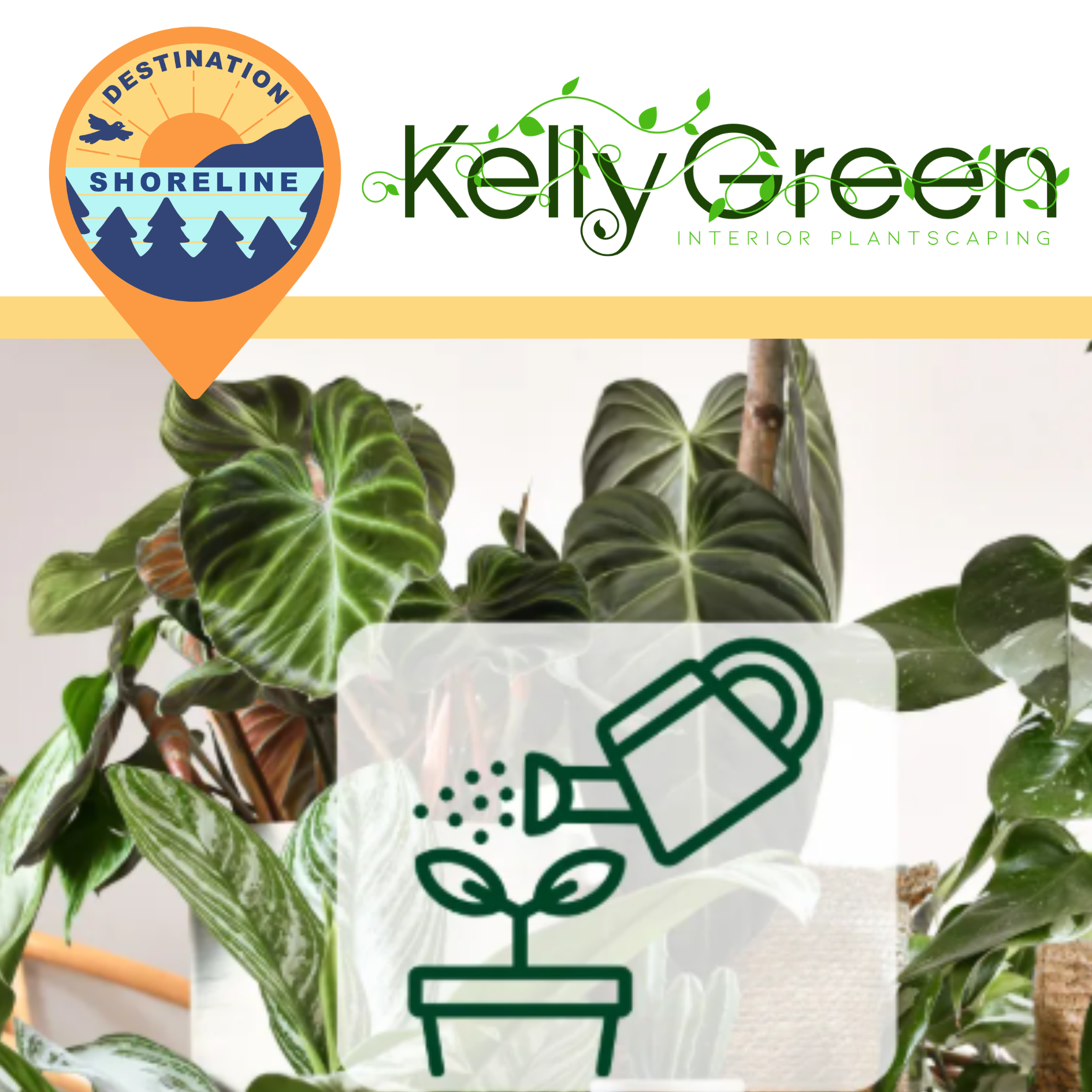 A New Green Thumb in Shoreline: Kelly Green