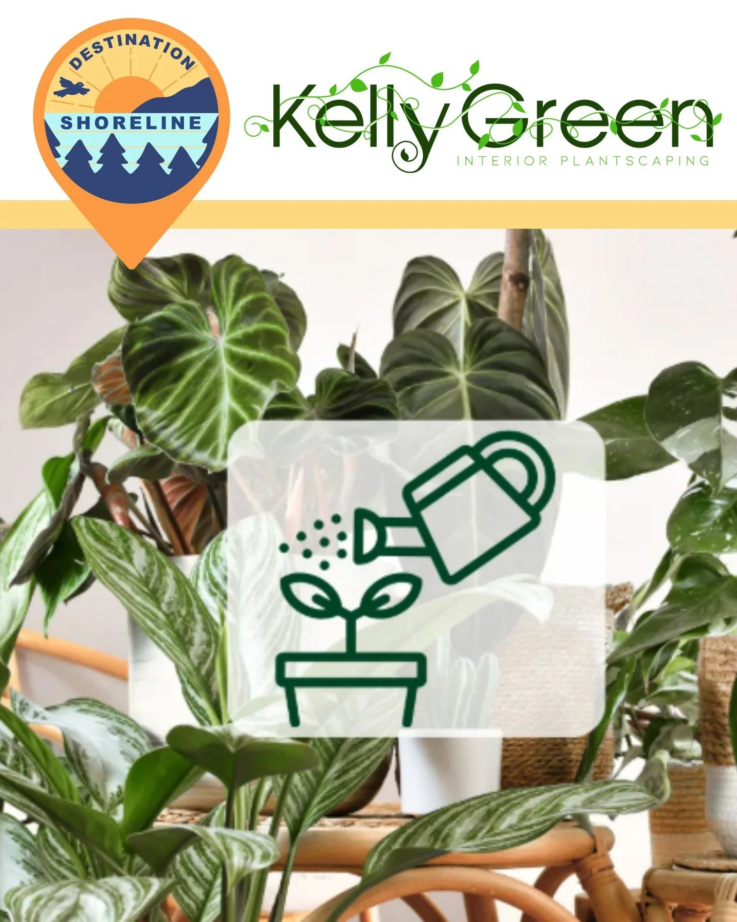 🌟A New Green Thumb in Shoreline: Kelly Green 🌟

Plants have a way of transforming a space &mdash; making offices feel more welcoming, vibrant, and alive. Kelly Green has been helping businesses do exactly that since 1997 through professional plant 