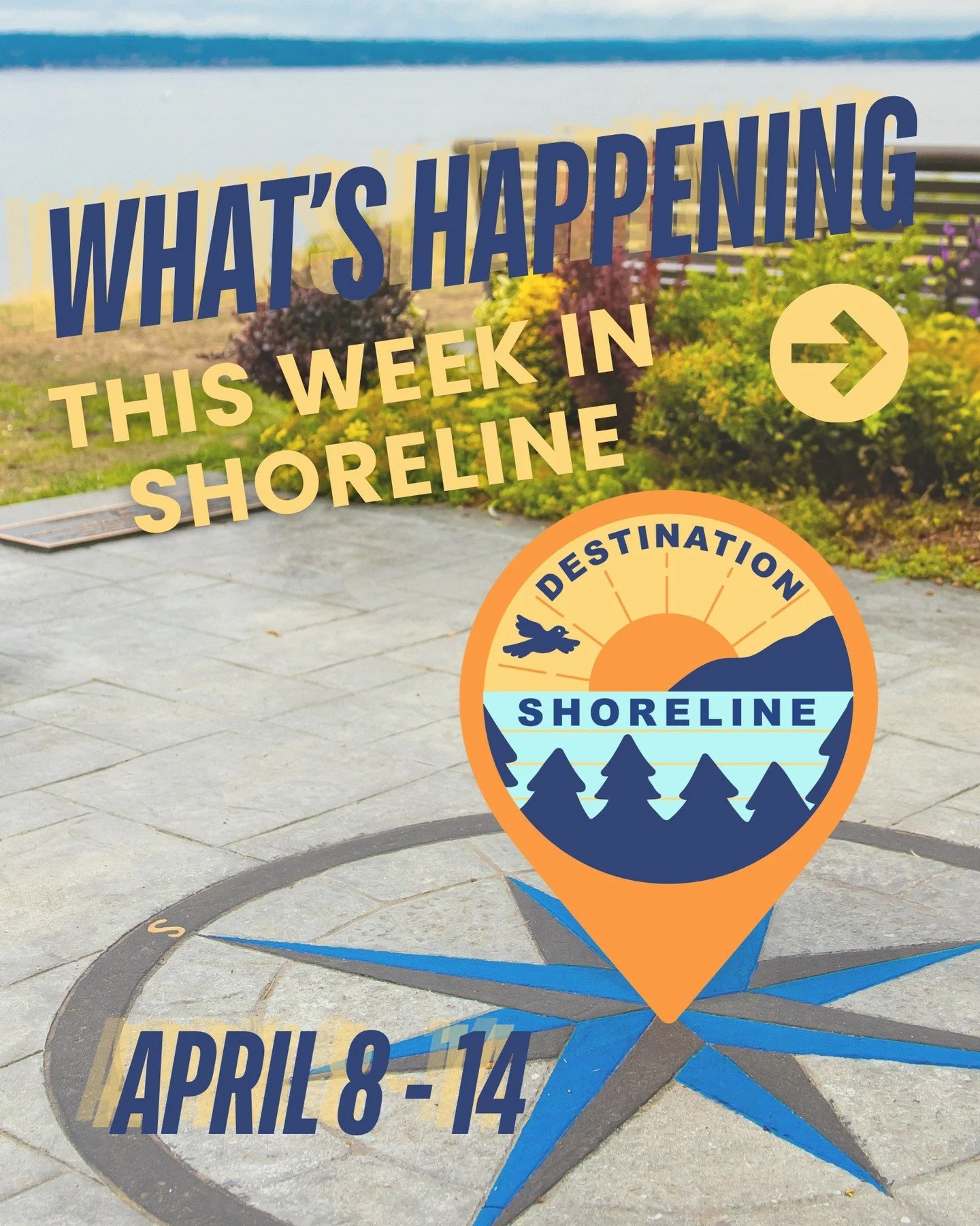 🌷 What&rsquo;s Happening This Week in Shoreline? (April 8&ndash;14)
Spring is starting to show off in Shoreline, and this week is full of connection, creativity, and a little bit of everything in between. From Rainbow Bingo to cultural celebrations,