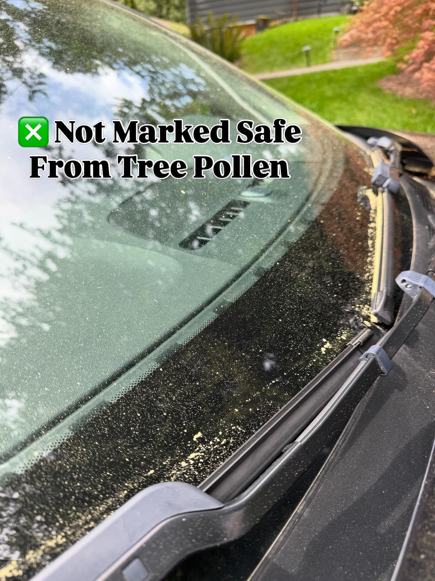 If your car looks like this&hellip; you live in Shoreline. When will the tree pollen stop?! 😷🌲

Not Marked Safe From Tree Pollen

#ShorelineWA #ShorelineLife #evergreens